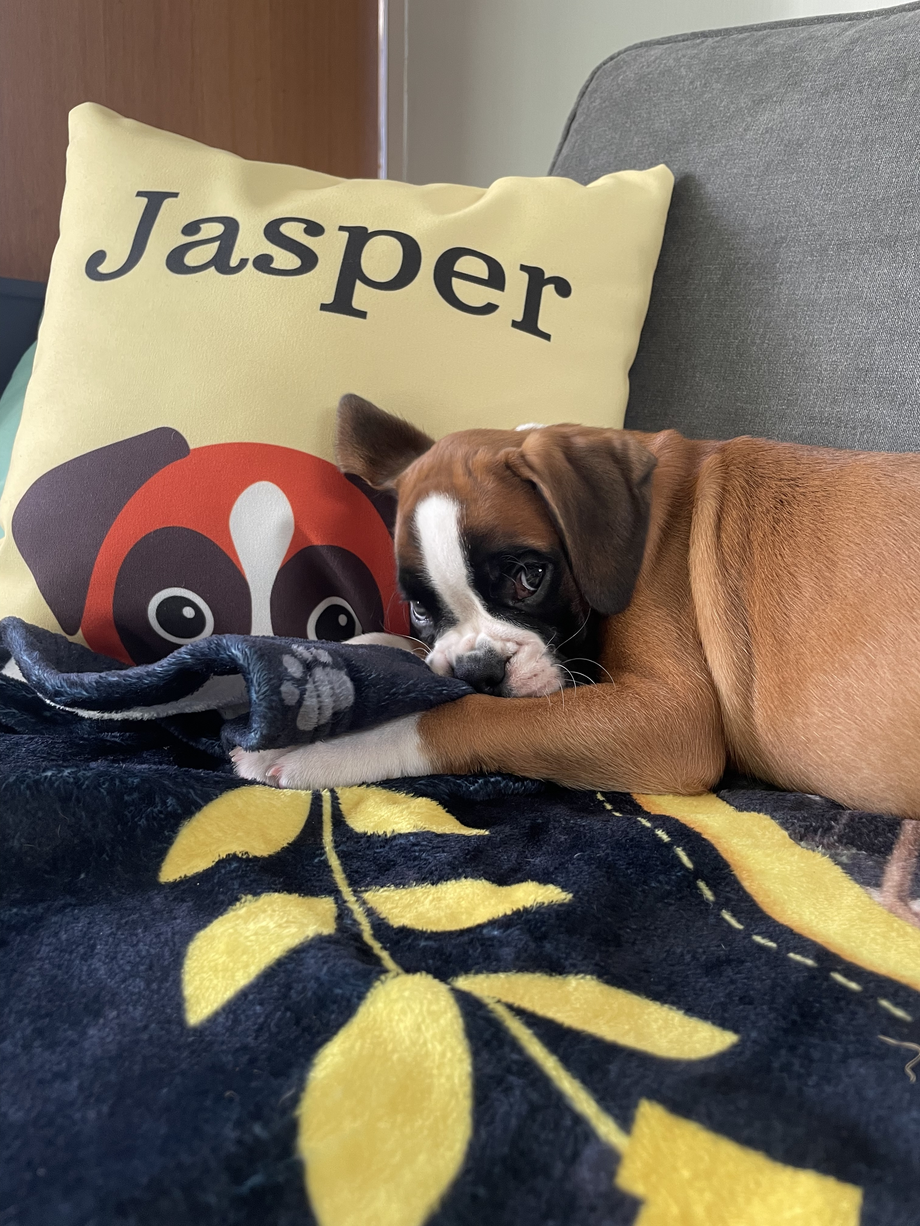 Customer photo of Dog's Icon & Name: Personalised Dog Canvas Cushion