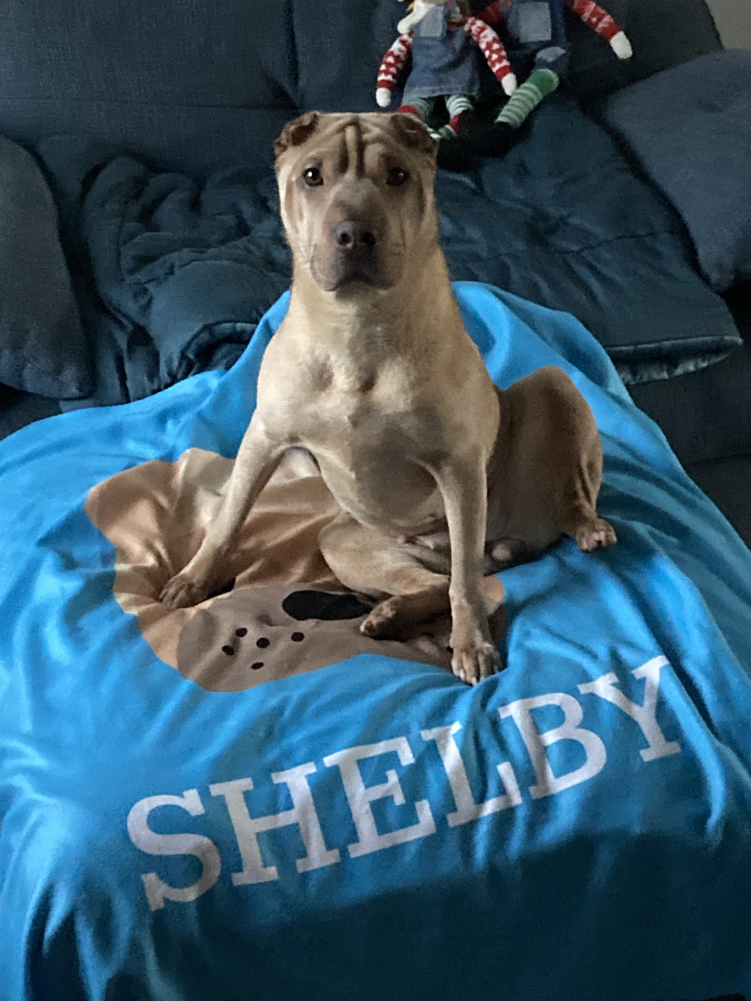 Customer photo of Personalized Cockapoo Throw Blanket