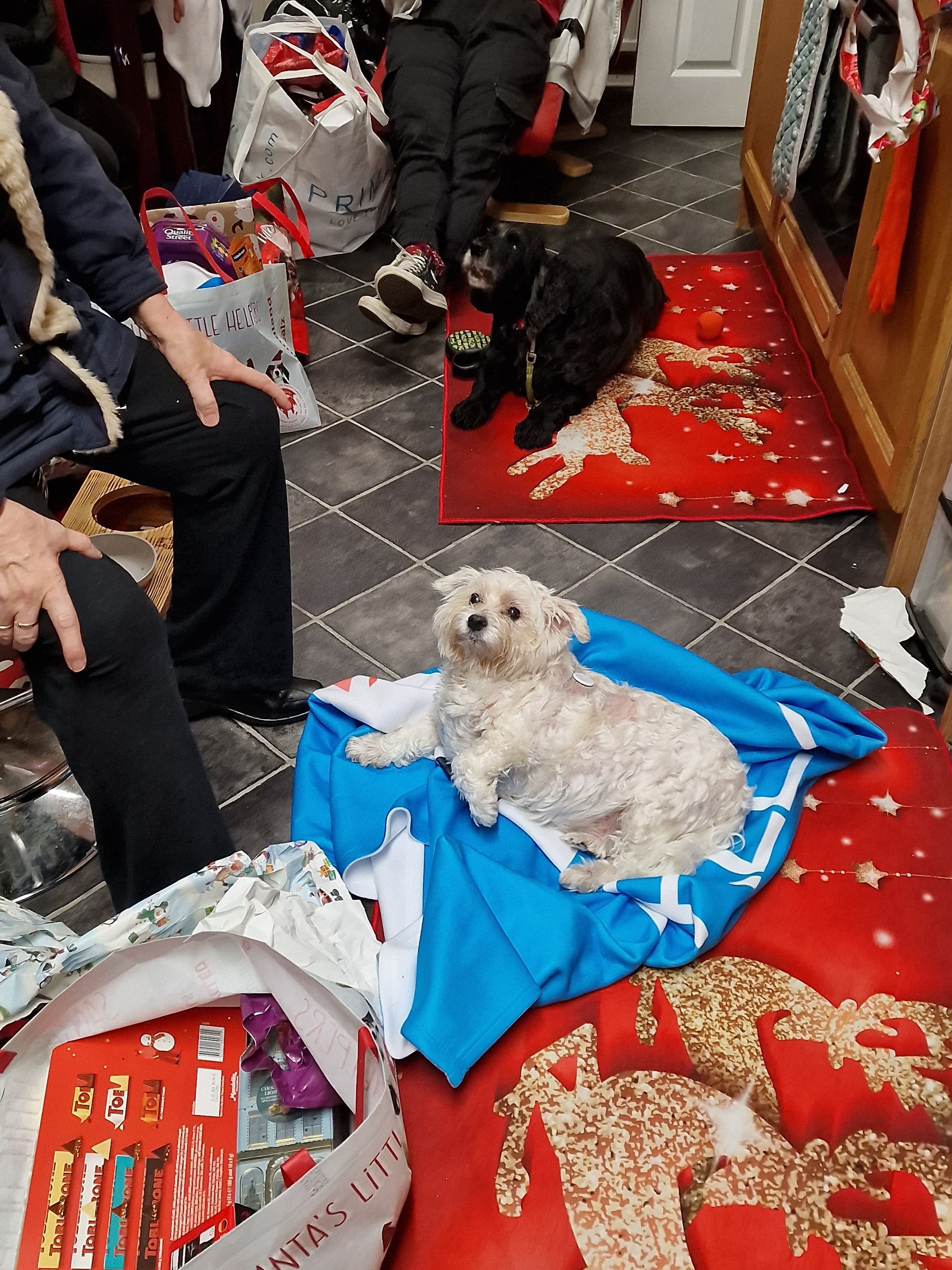 Customer photo of Personalized Cockapoo Throw Blanket
