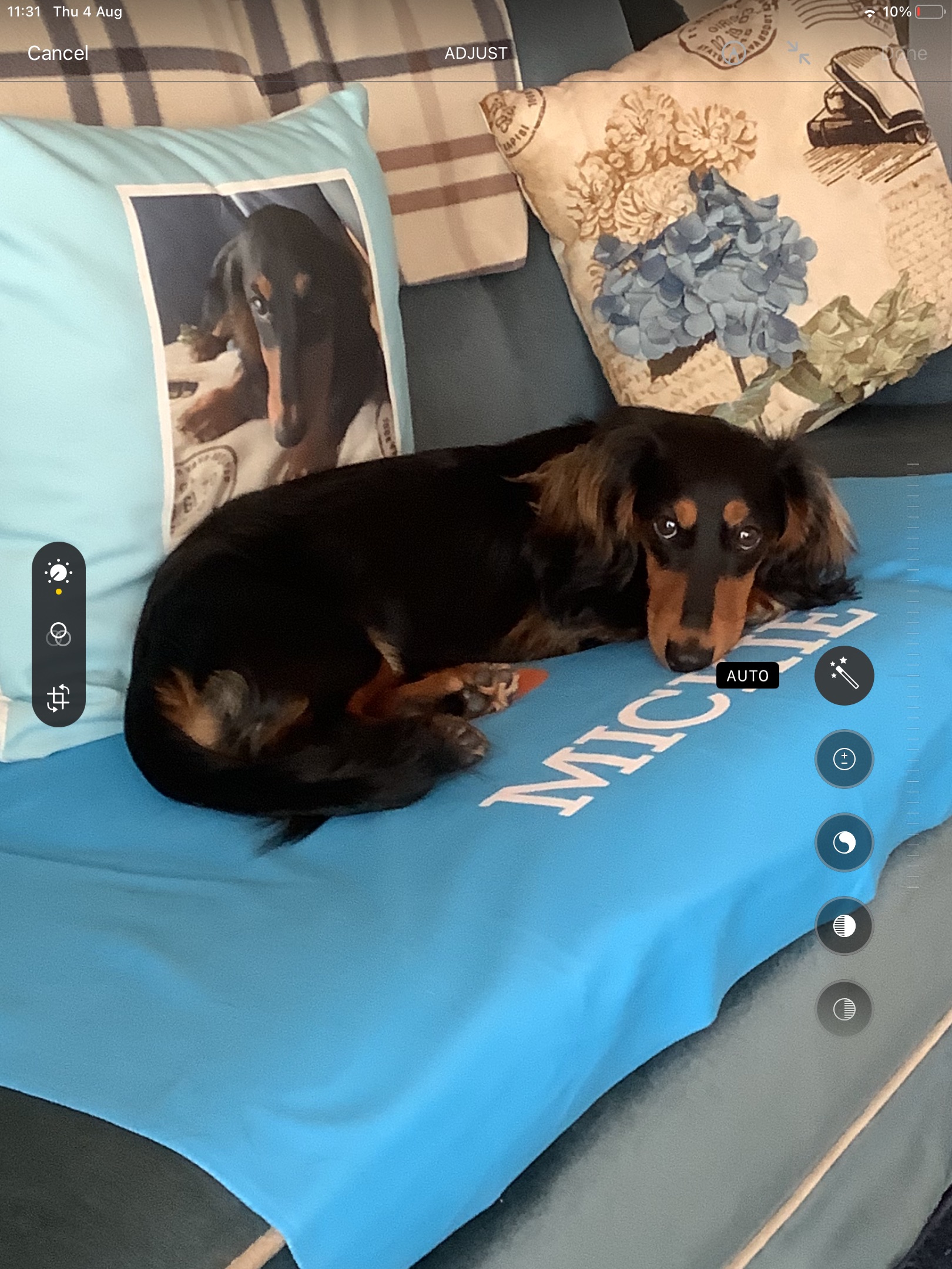 Customer photo of Personalized Cockapoo Throw Blanket