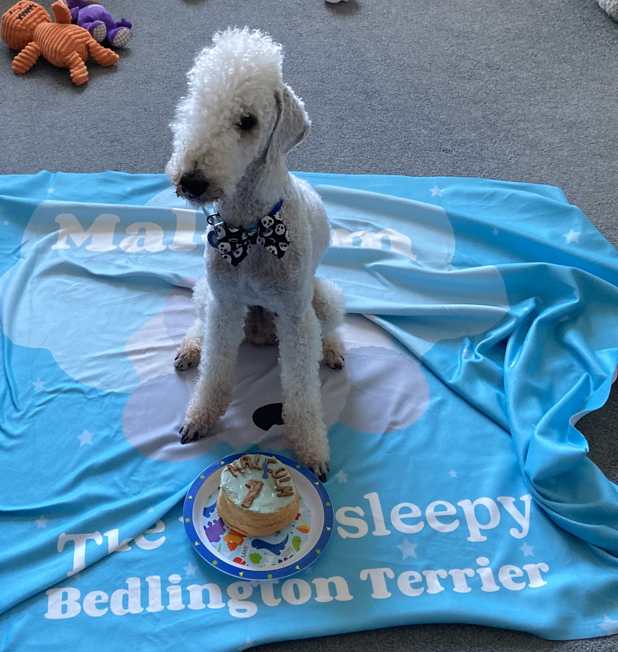 Customer photo of 'The Very Sleepy...' - Personalized Pugapoo Throw Blanket