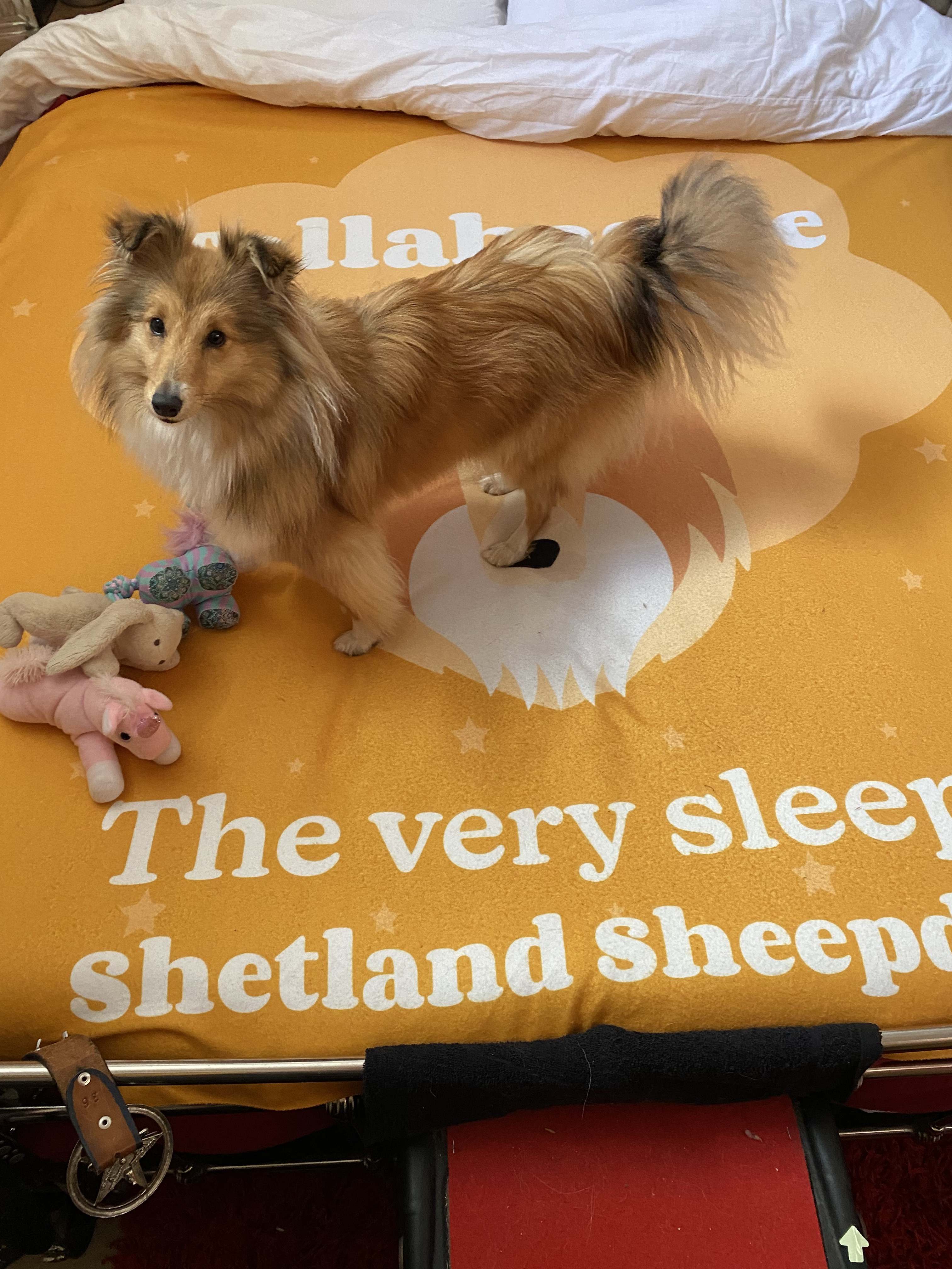 Customer photo of 'The Very Sleepy...' - Personalized Pugapoo Throw Blanket