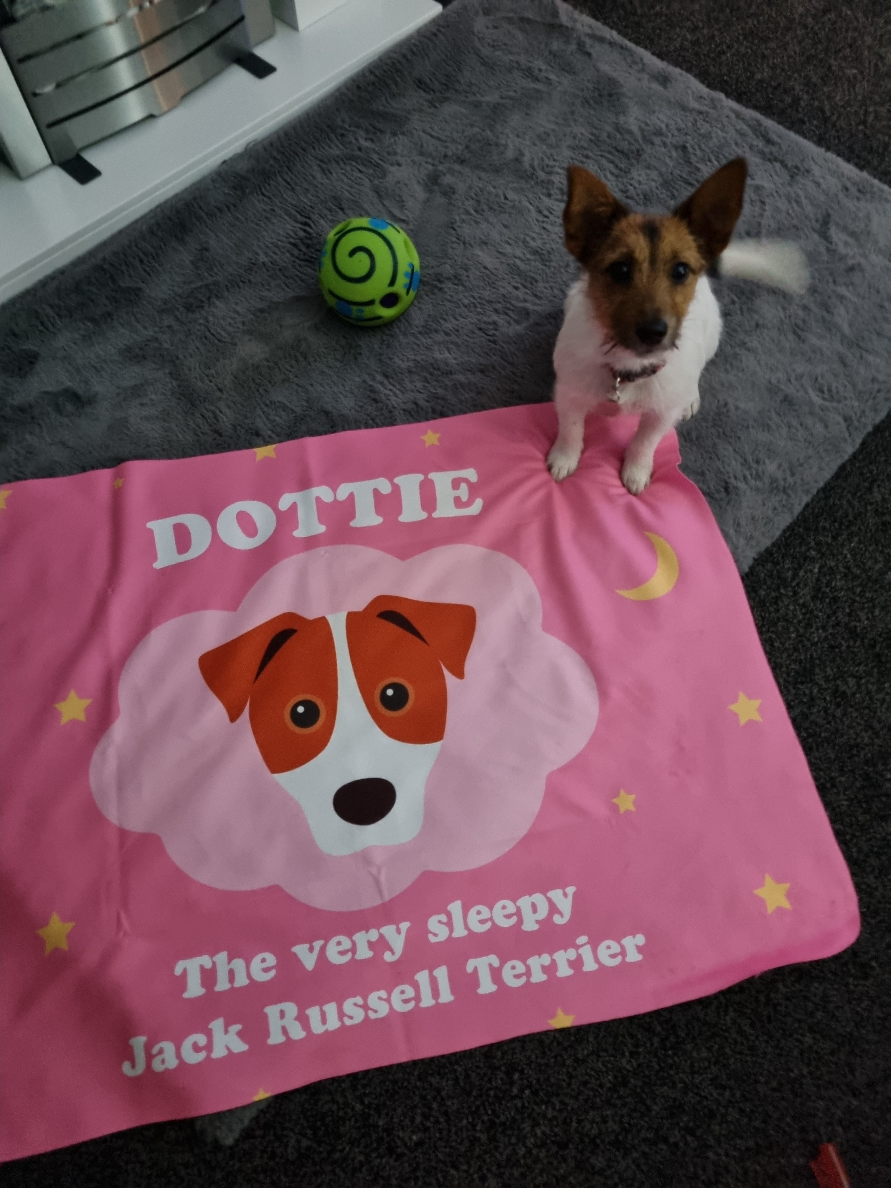 Customer photo of 'The Very Sleepy...' - Personalized Pugapoo Throw Blanket