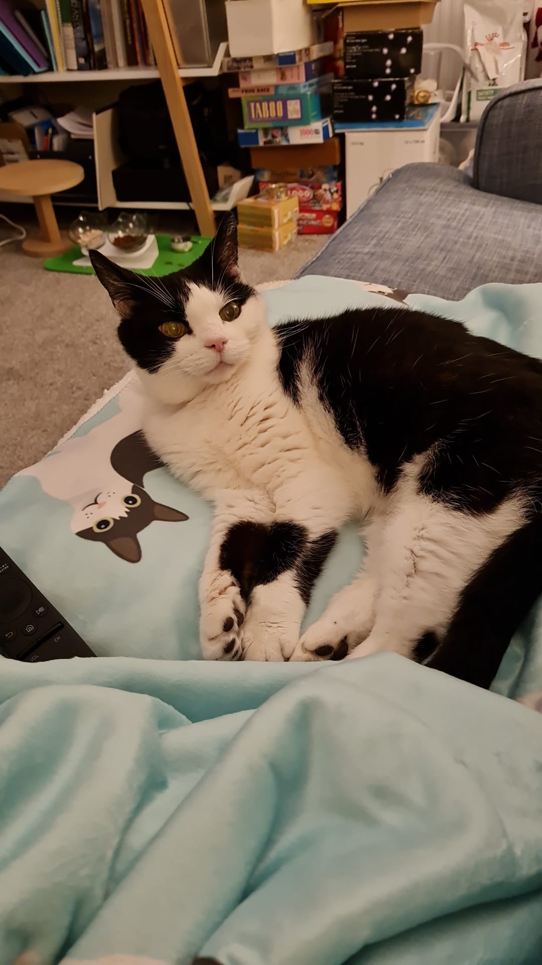 Customer photo of Personalized Cat Pattern: Premium Sherpa Fleece Blanket