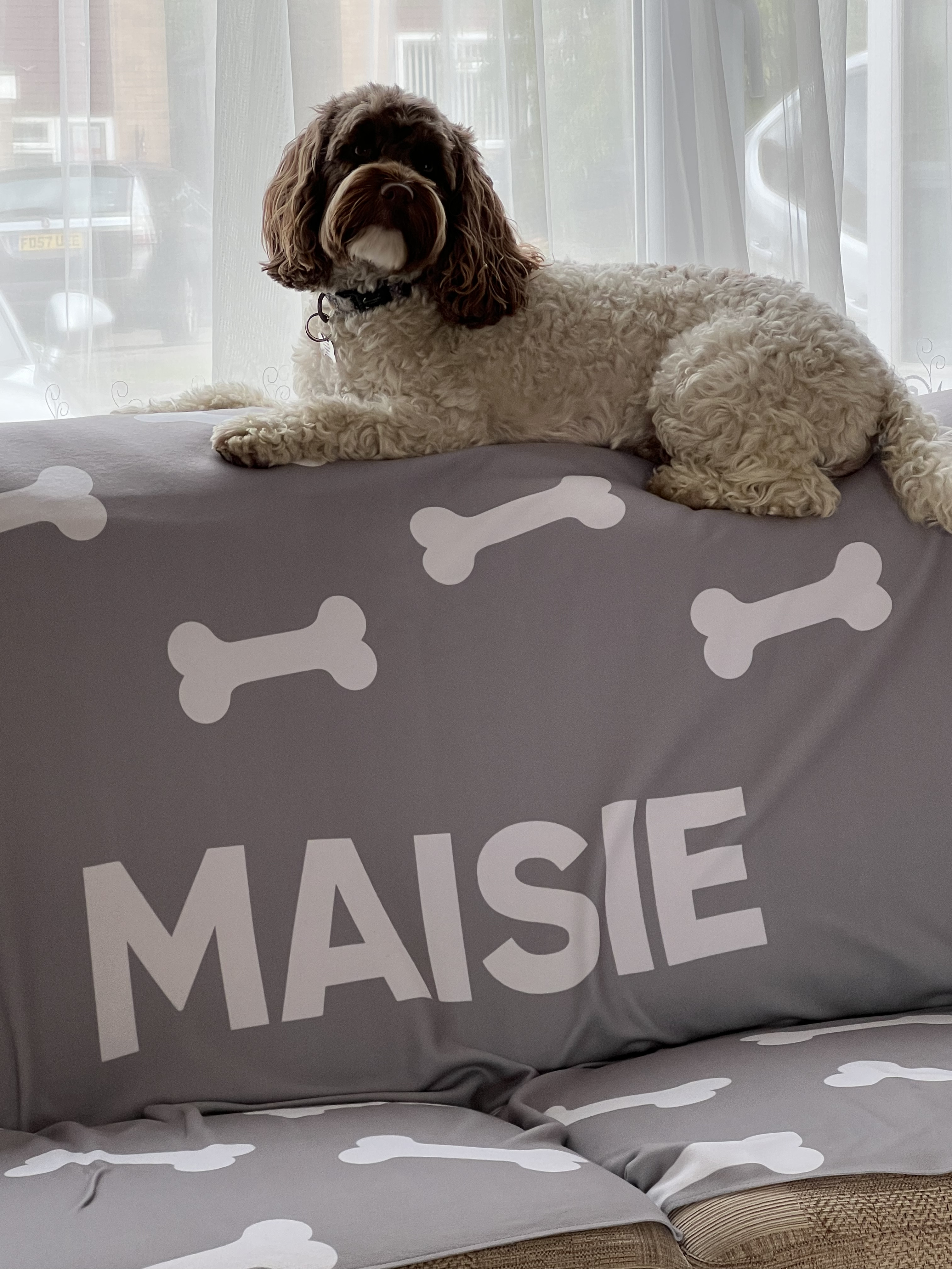 Customer photo of 'Bone Pattern' - Personalized German Wirehaired Pointer Throw Blanket