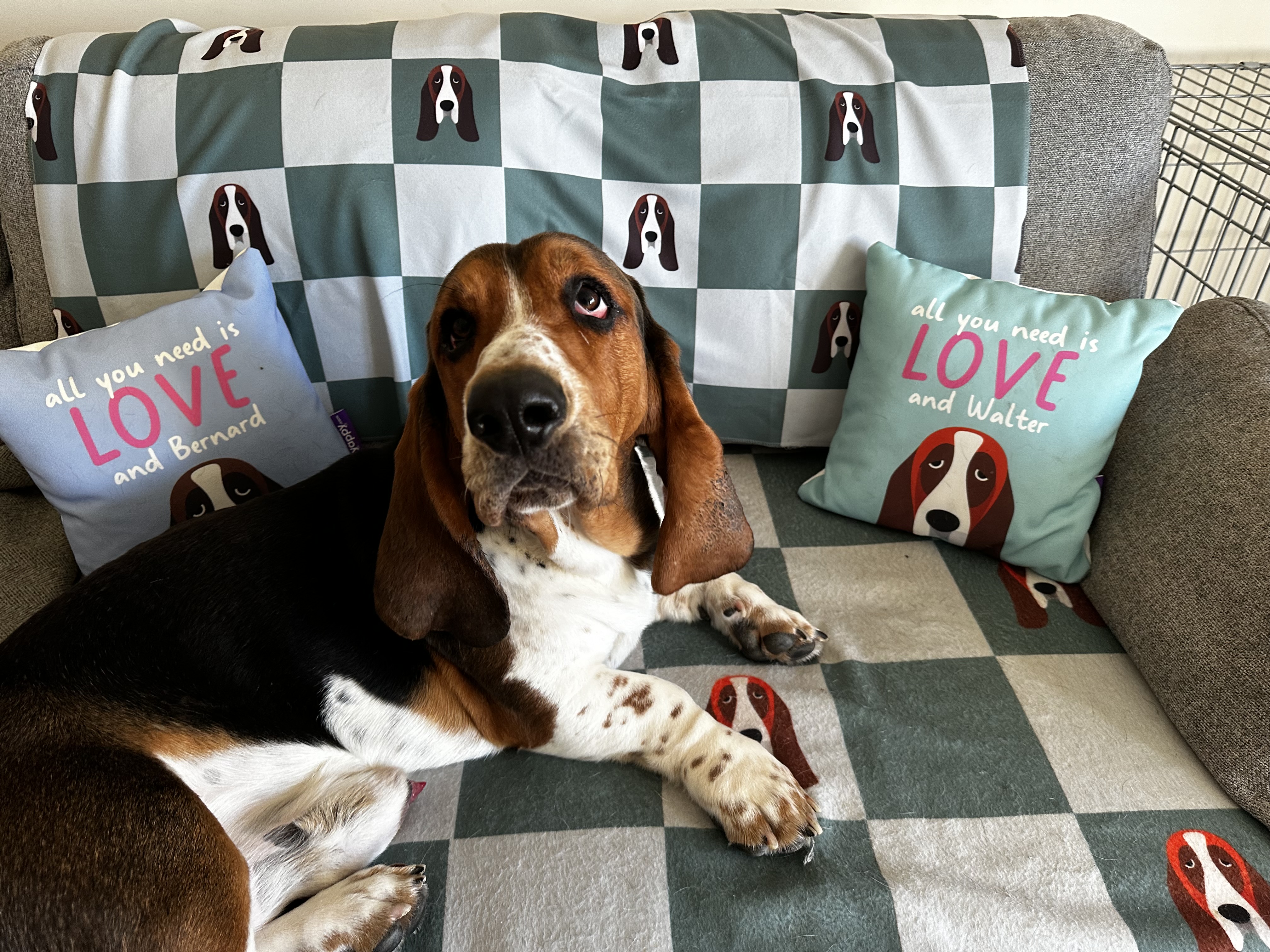 Customer photo of 'Checkerboard' - Personalized Coton De Tulear Throw Blanket
