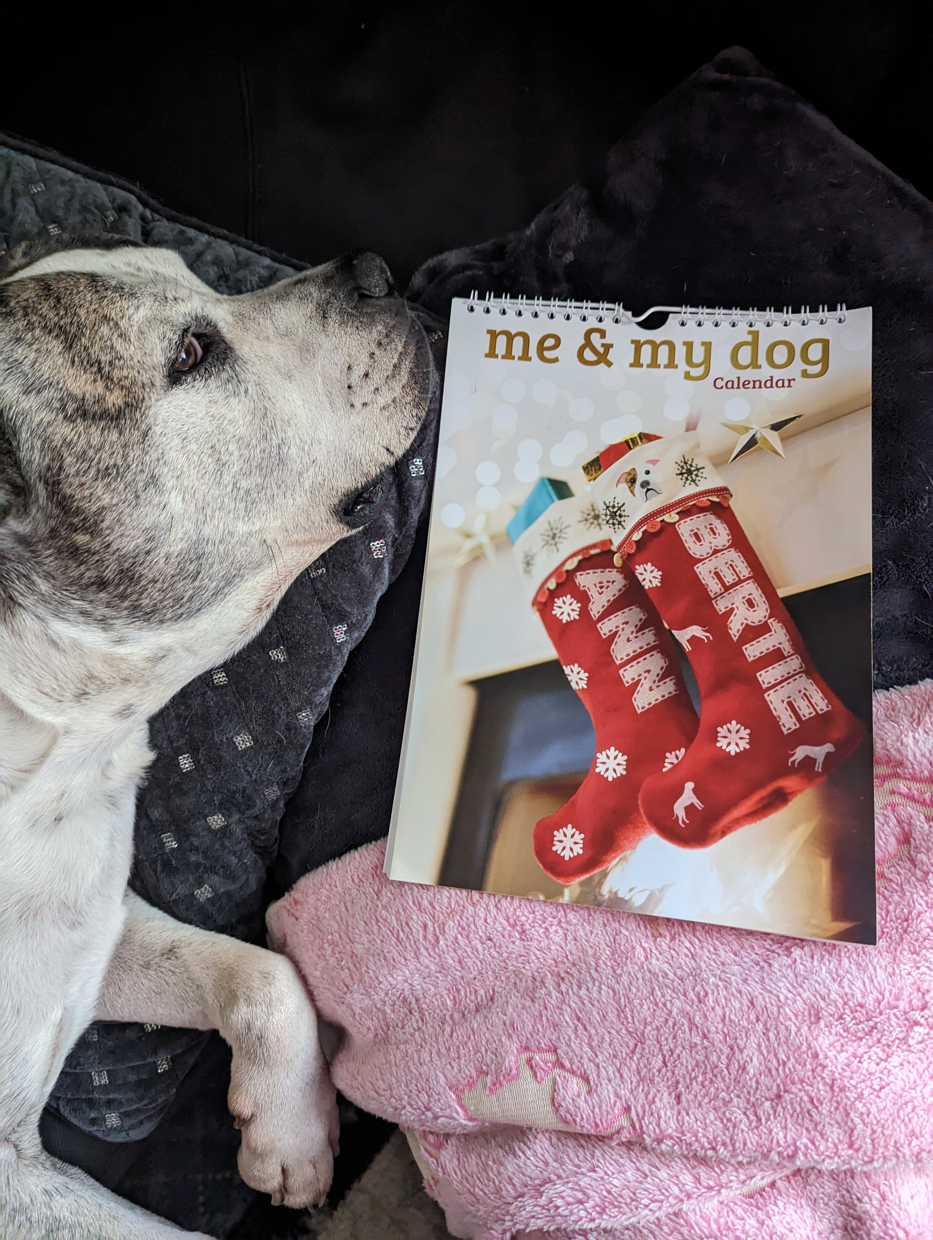 Customer photo of Personalised Dog Calendar: Me & My Dog