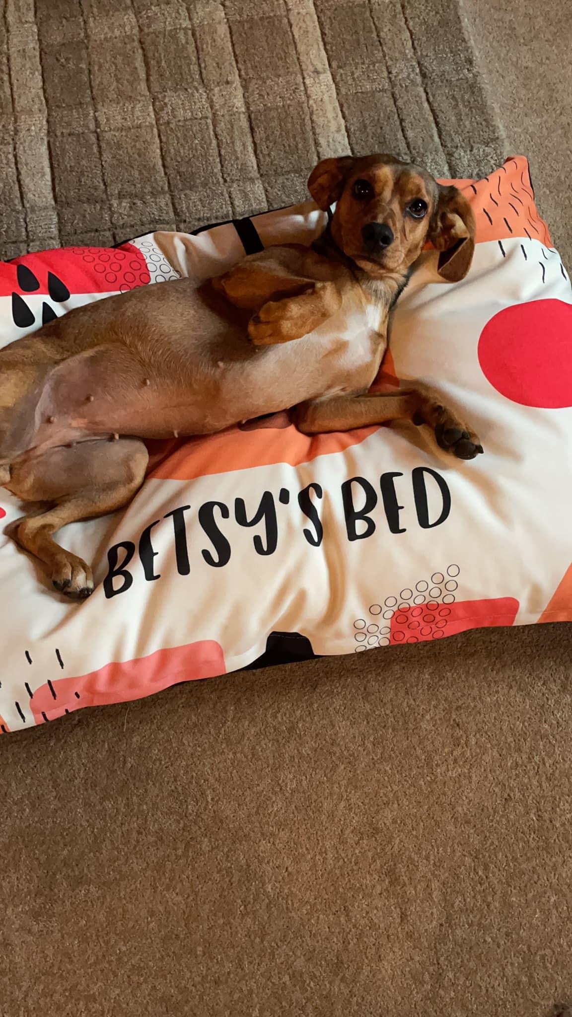 Customer photo of Personalised Dog Bed: Abstract