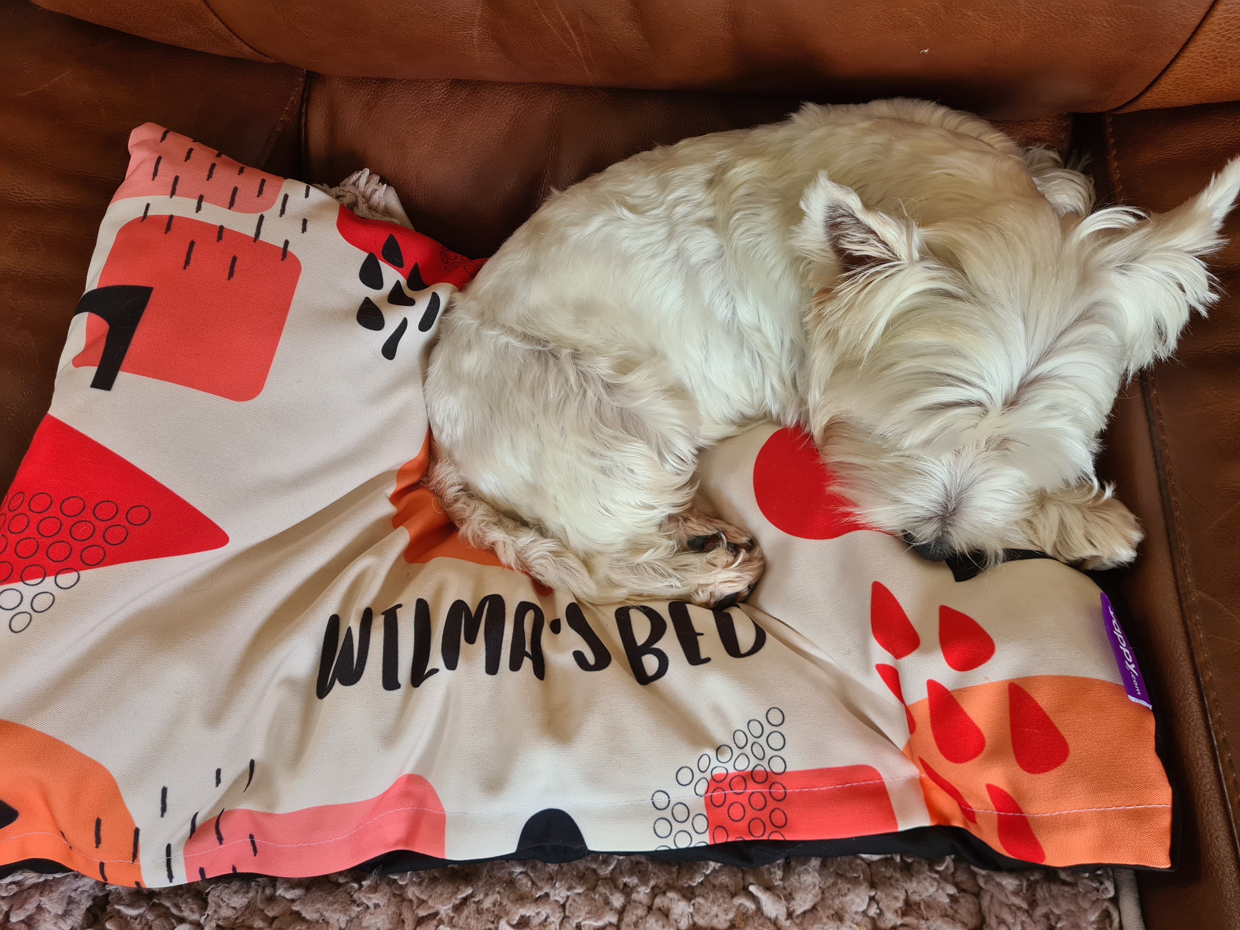 Customer photo of Personalised Dog Bed: Abstract