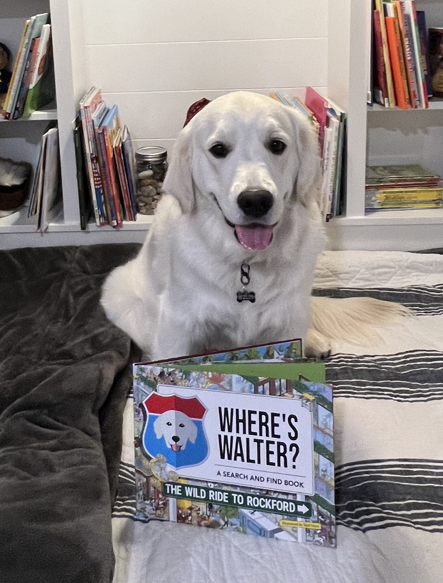 Customer photo of Personalized Dog Book: Where’s Your Dog? The Wild Ride to Your City/State
