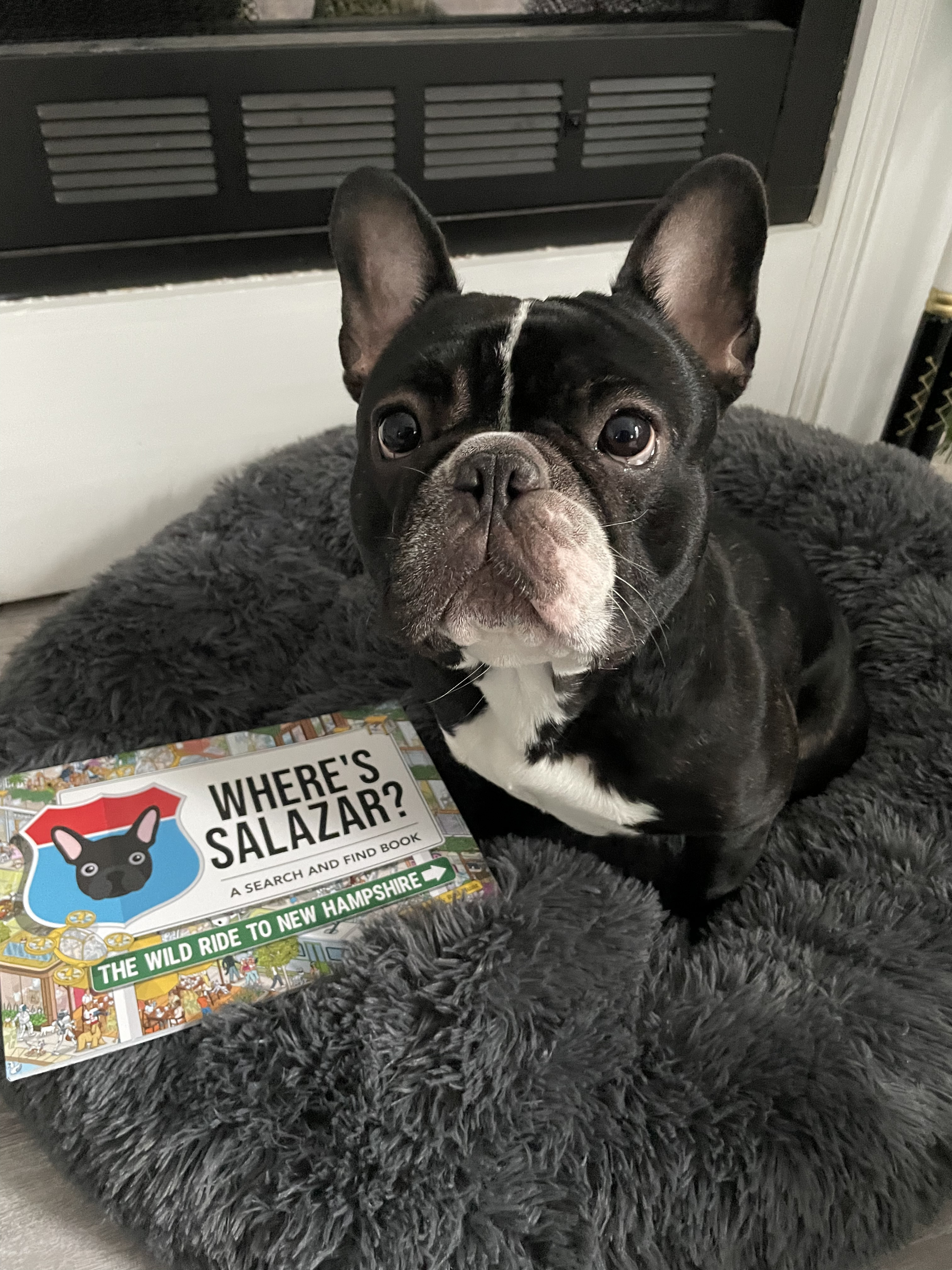 Customer photo of Personalized Dog Book: Where’s Your Dog? The Wild Ride to Your City/State