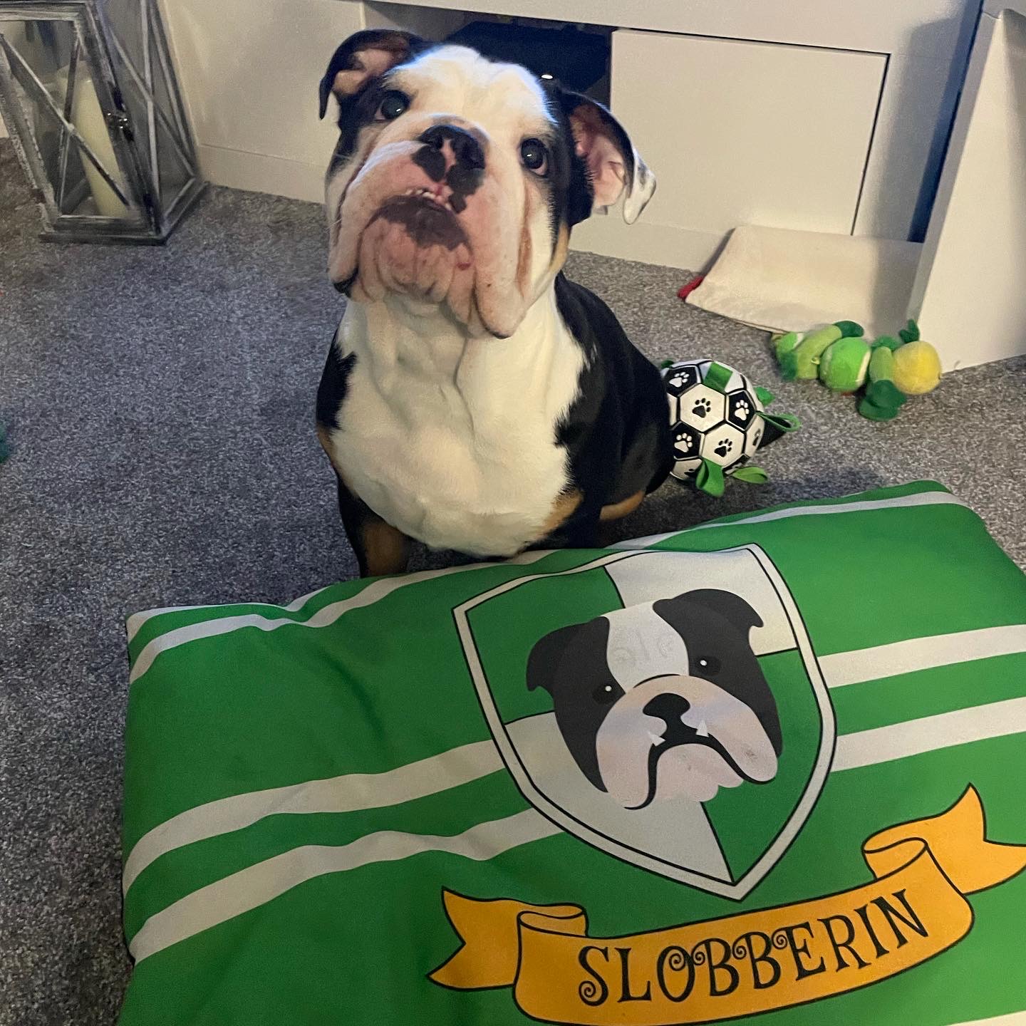 Customer photo of Personalized Dog Bed: Slobberin