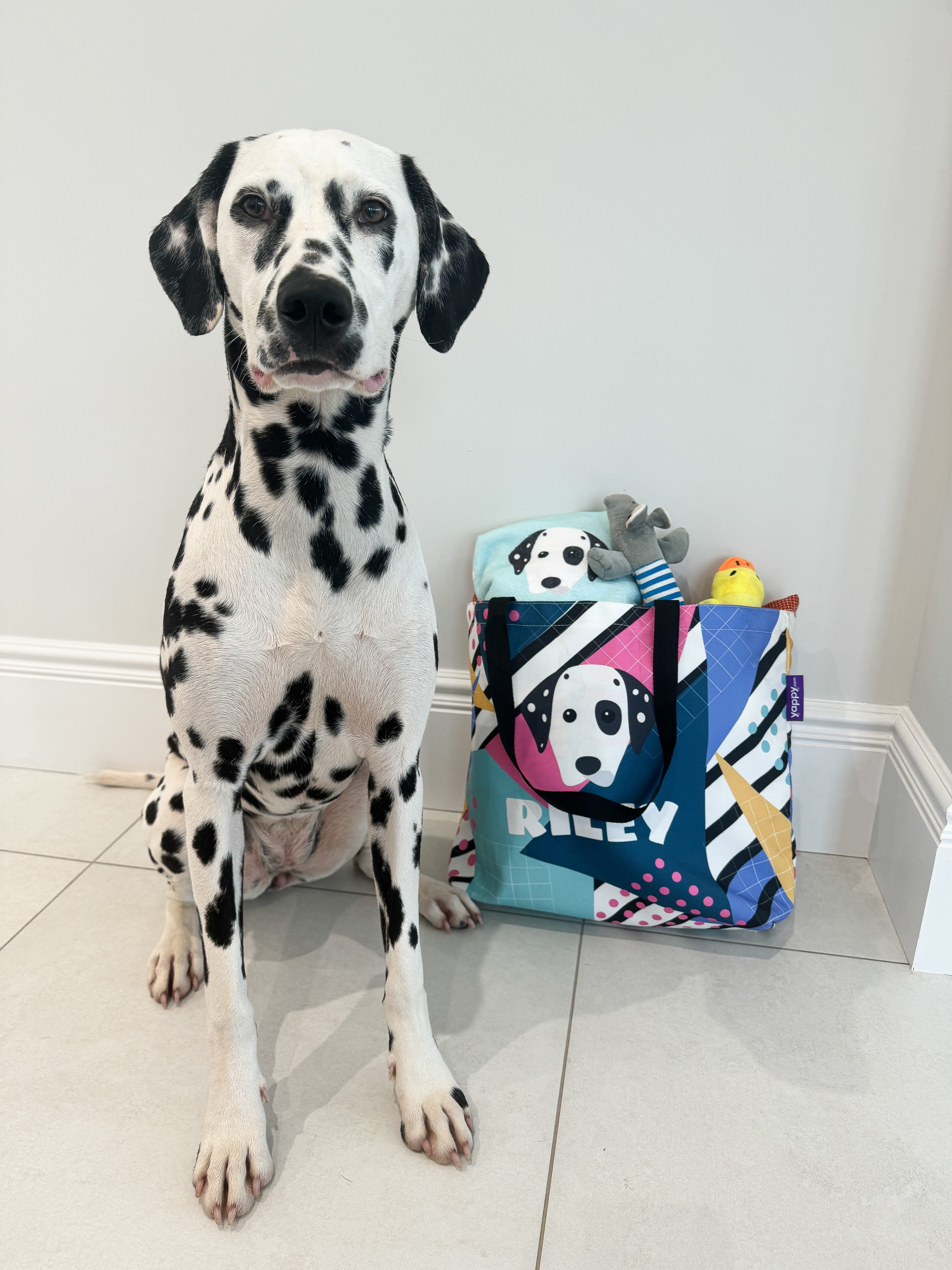 Customer photo of Retro Pattern: Personalized Jack-A-Poo Canvas Bag