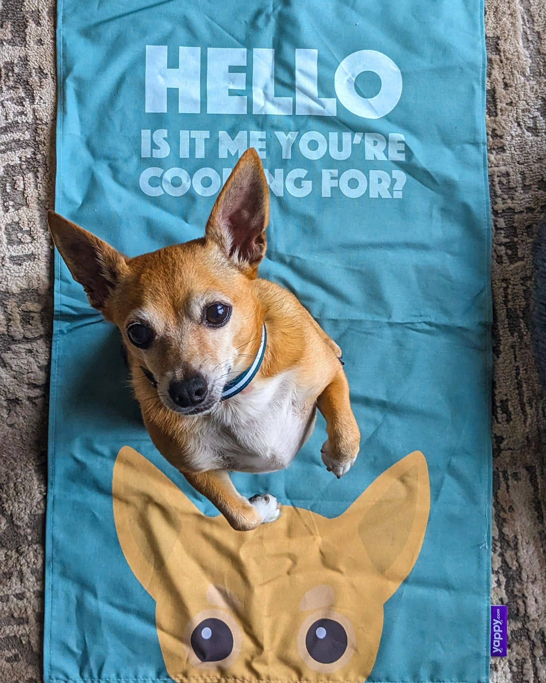 Customer photo of 'Cooking For' - Personalized Jack-A-Poo Dish Towel