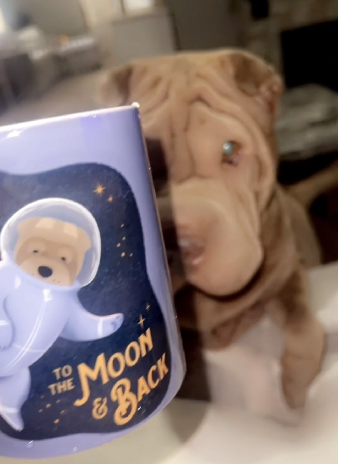 Customer photo of Love You To The Moon & Back: Personalized Italian Greyhound Mug