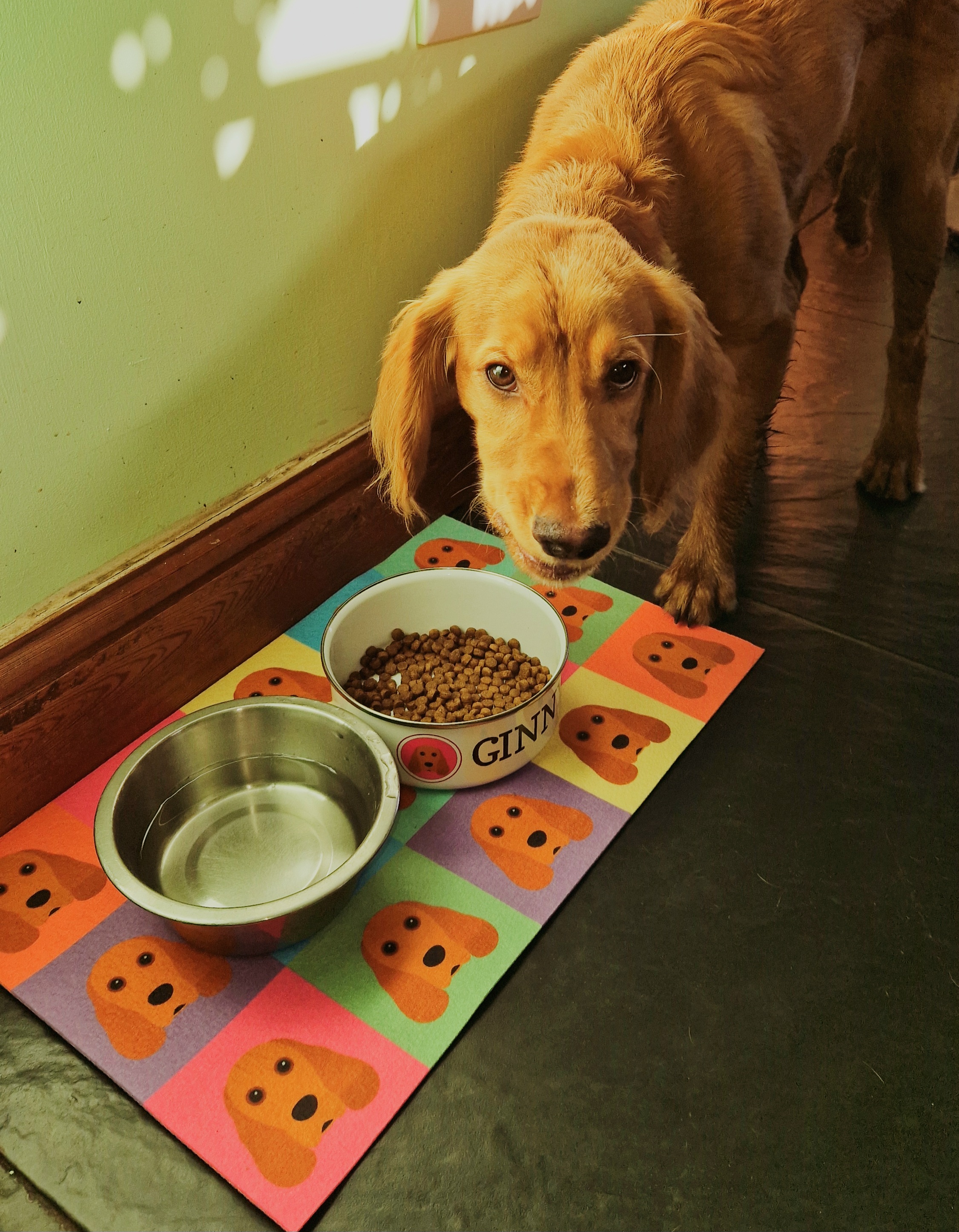 Customer photo of Name and Icon: Personalized Enamel Jack-A-Poo Bowl
