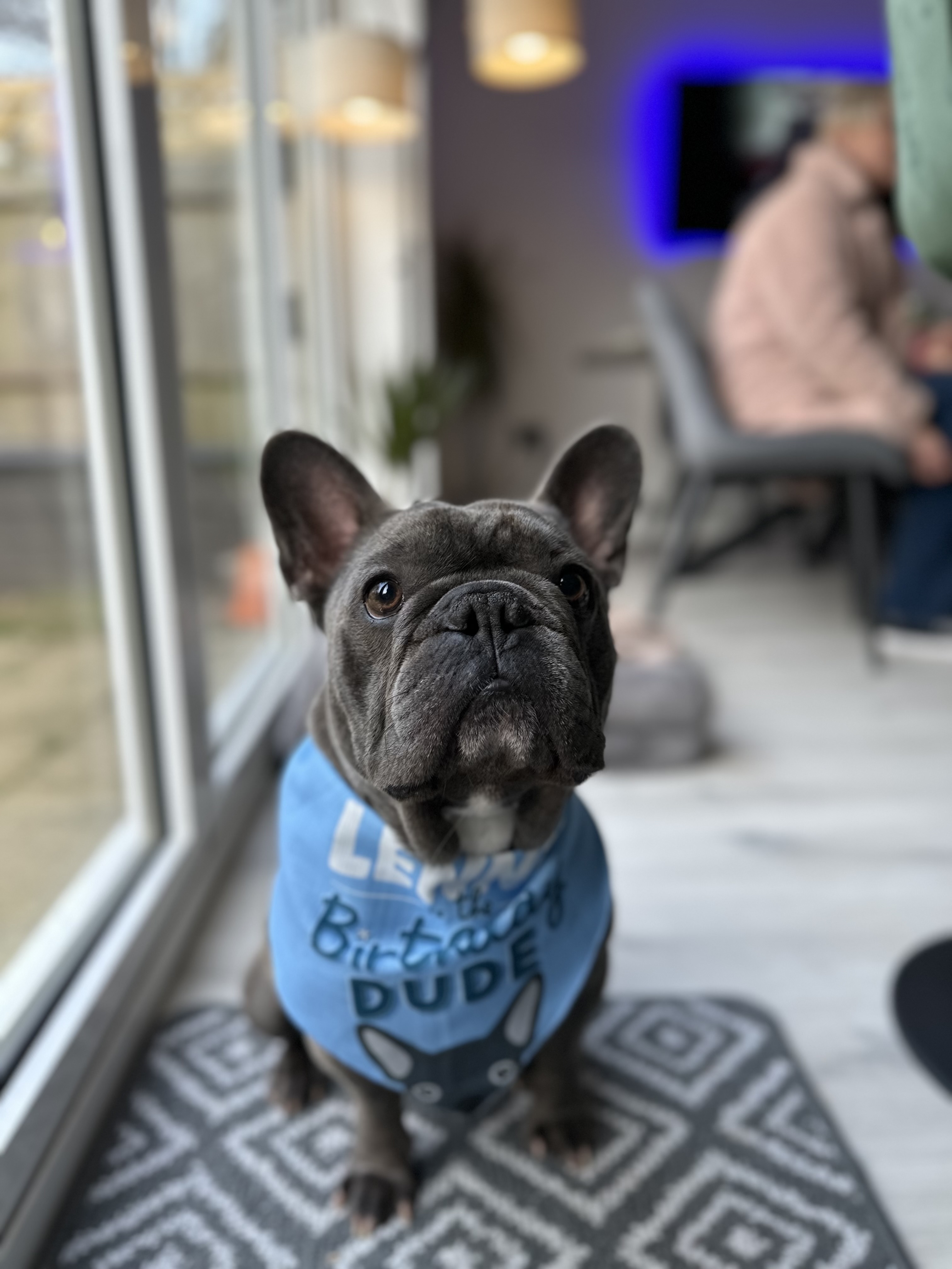 Customer photo of Birthday Dude: Personalized Plott Hound Bandana