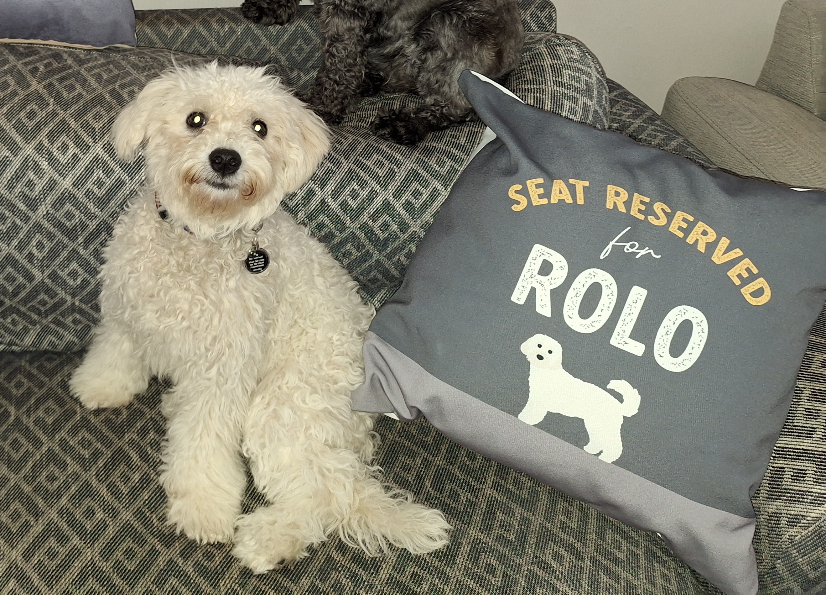 Customer photo of Reserved For: Personalised Dog Canvas Cushion