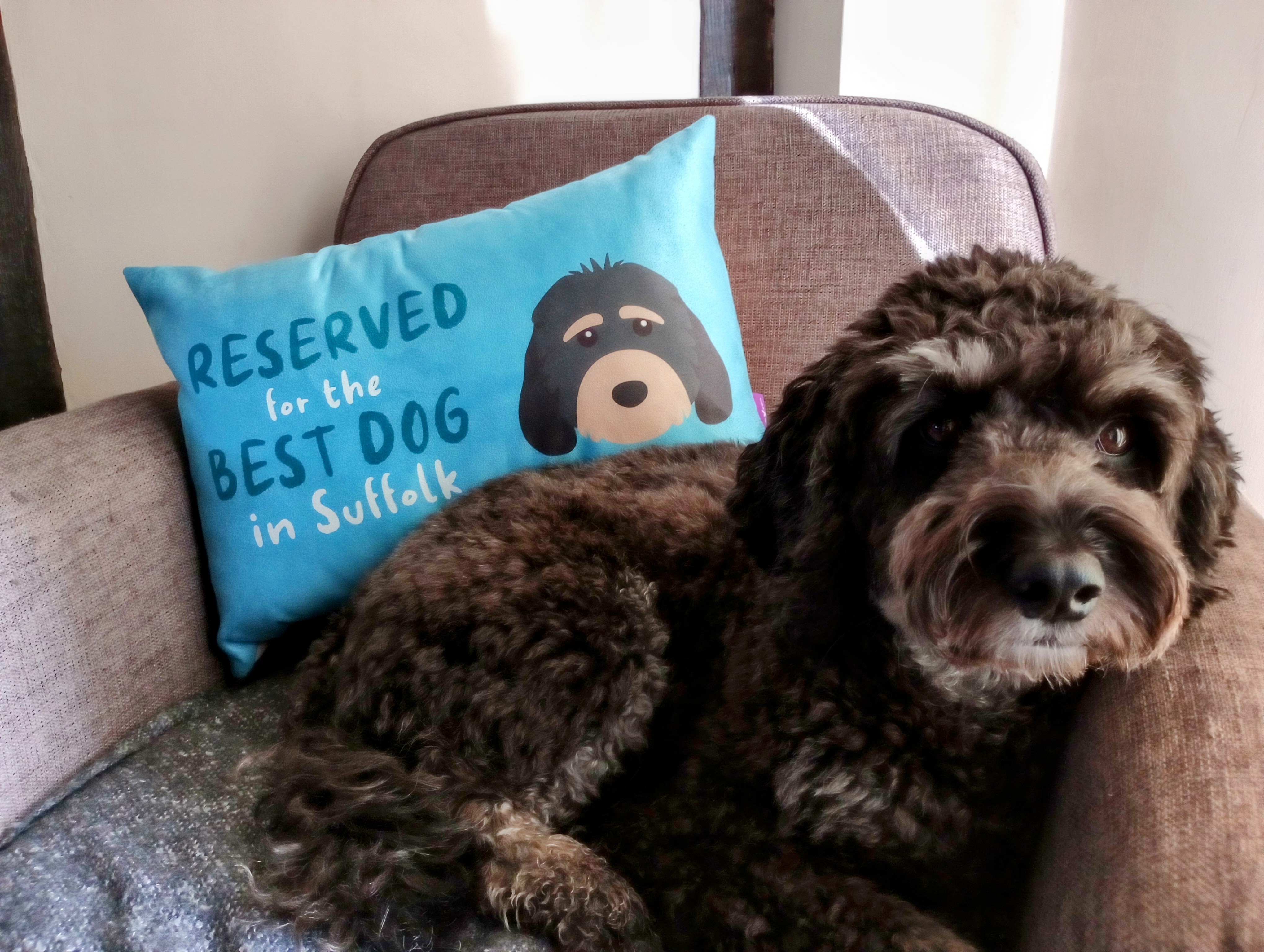 Customer photo of Reserved For The Best Dog: Personalised Dog Soft Touch Cushion