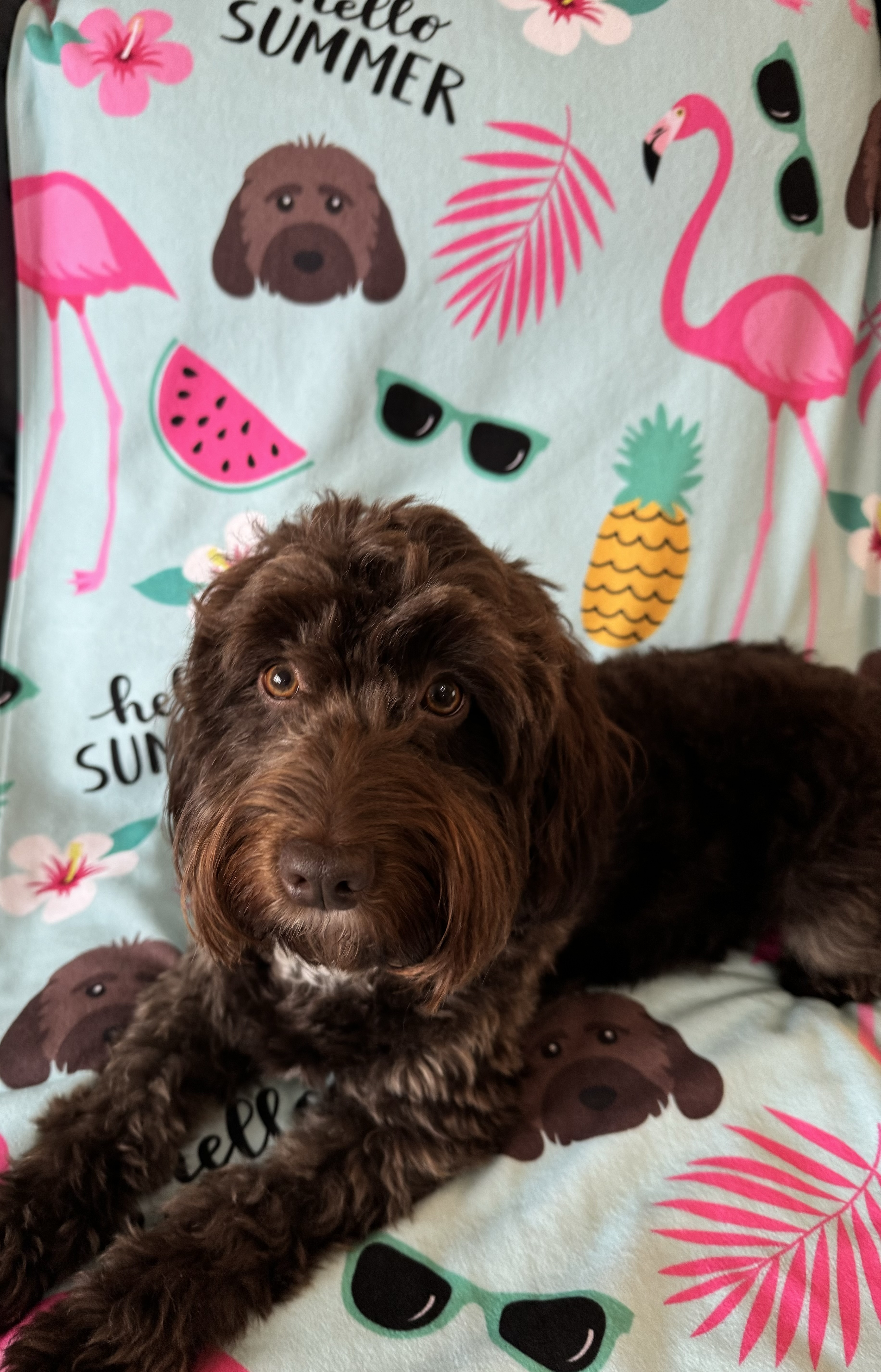 Customer photo of Flamingos & Dogs: Personalised Dog Towel 