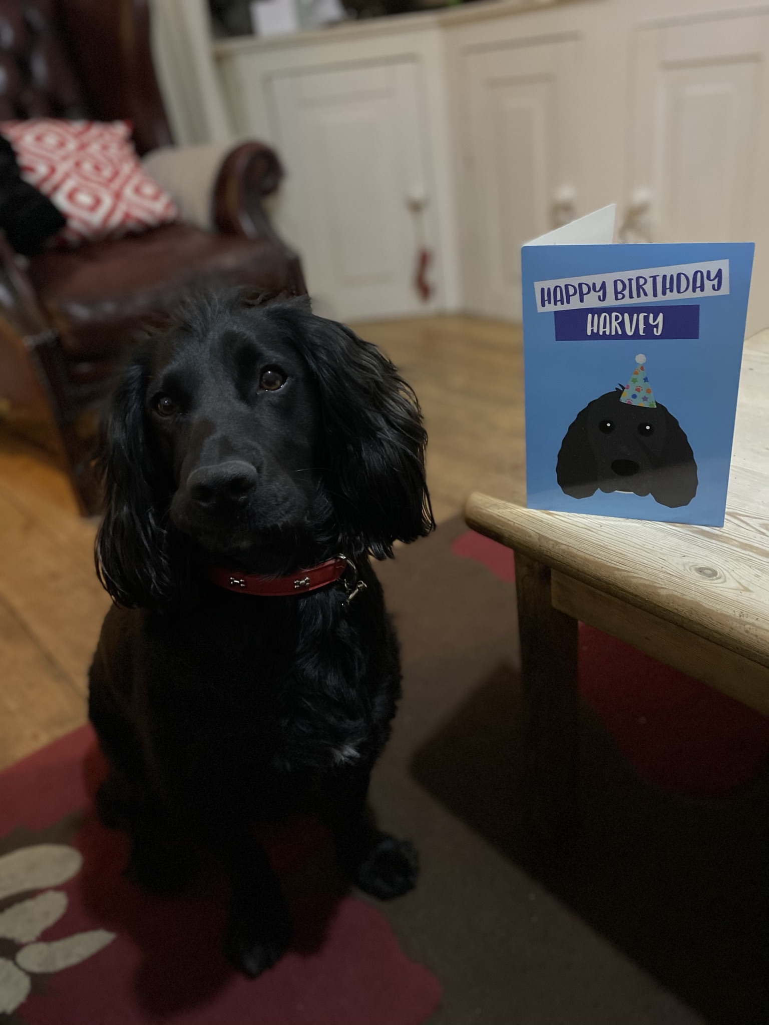 Customer photo of 'Happy Birthday to Labradoodle' - Personalized Labradoodle Card