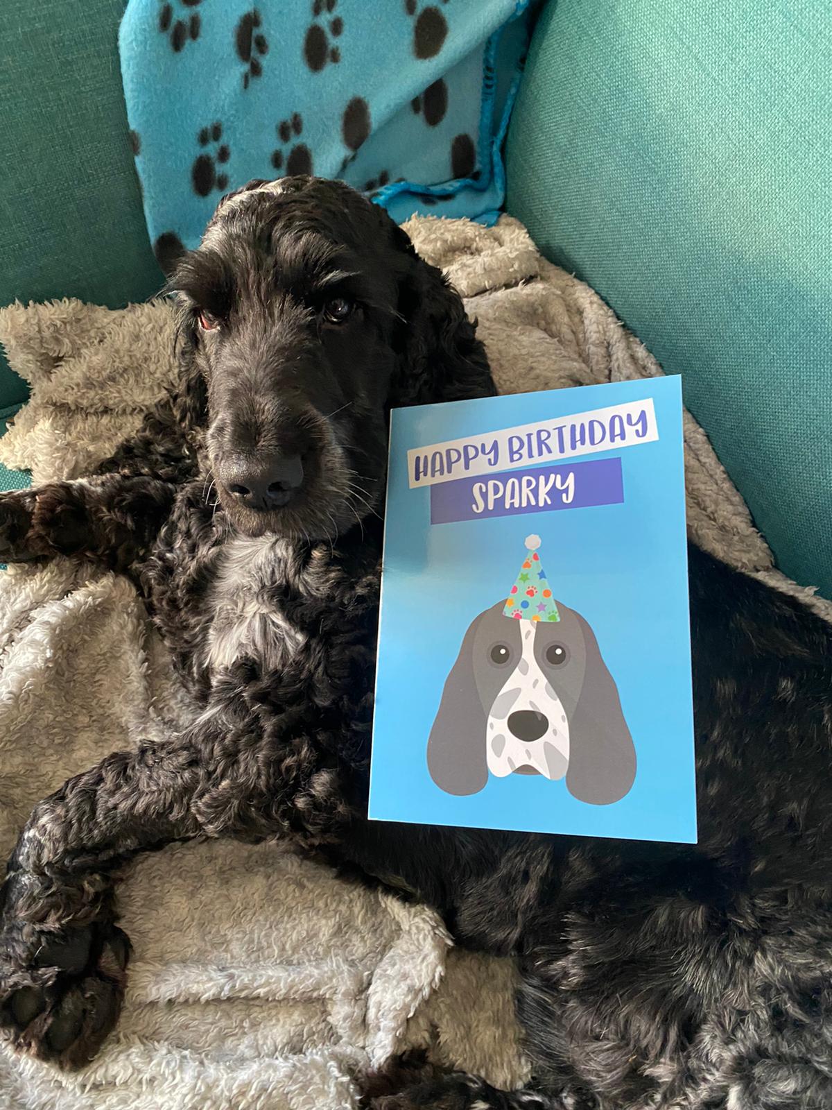 Customer photo of 'Happy Birthday to Labradoodle' - Personalized Labradoodle Card
