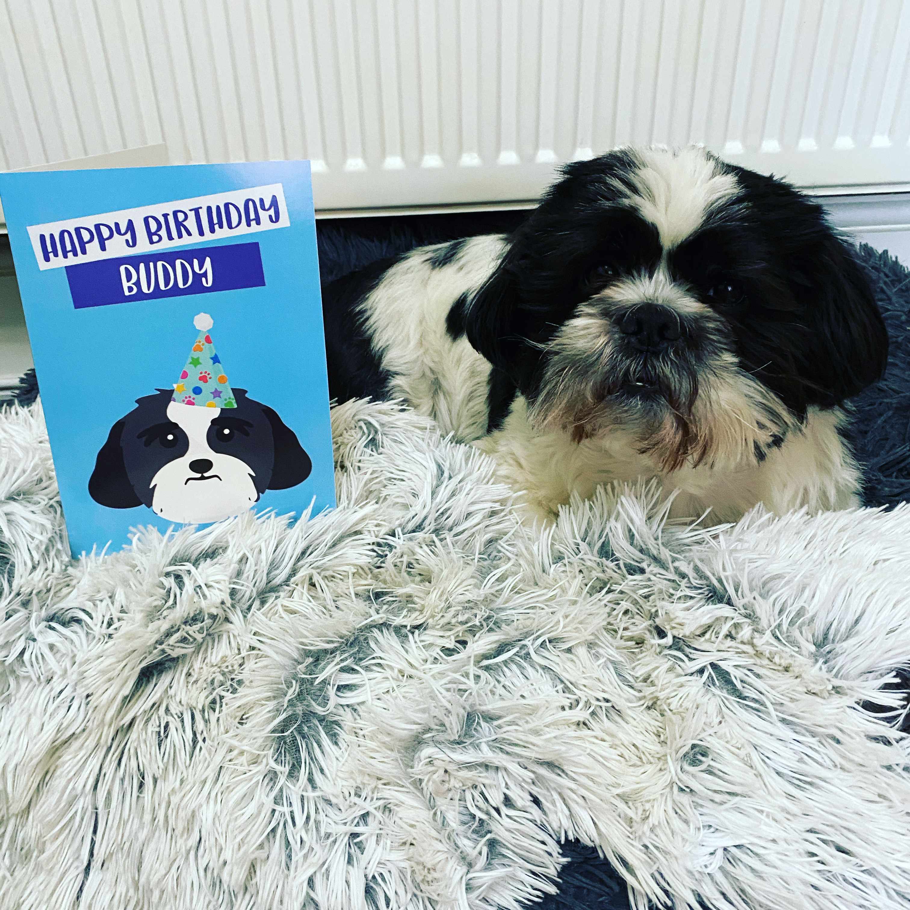 Customer photo of 'Happy Birthday to Labradoodle' - Personalized Labradoodle Card
