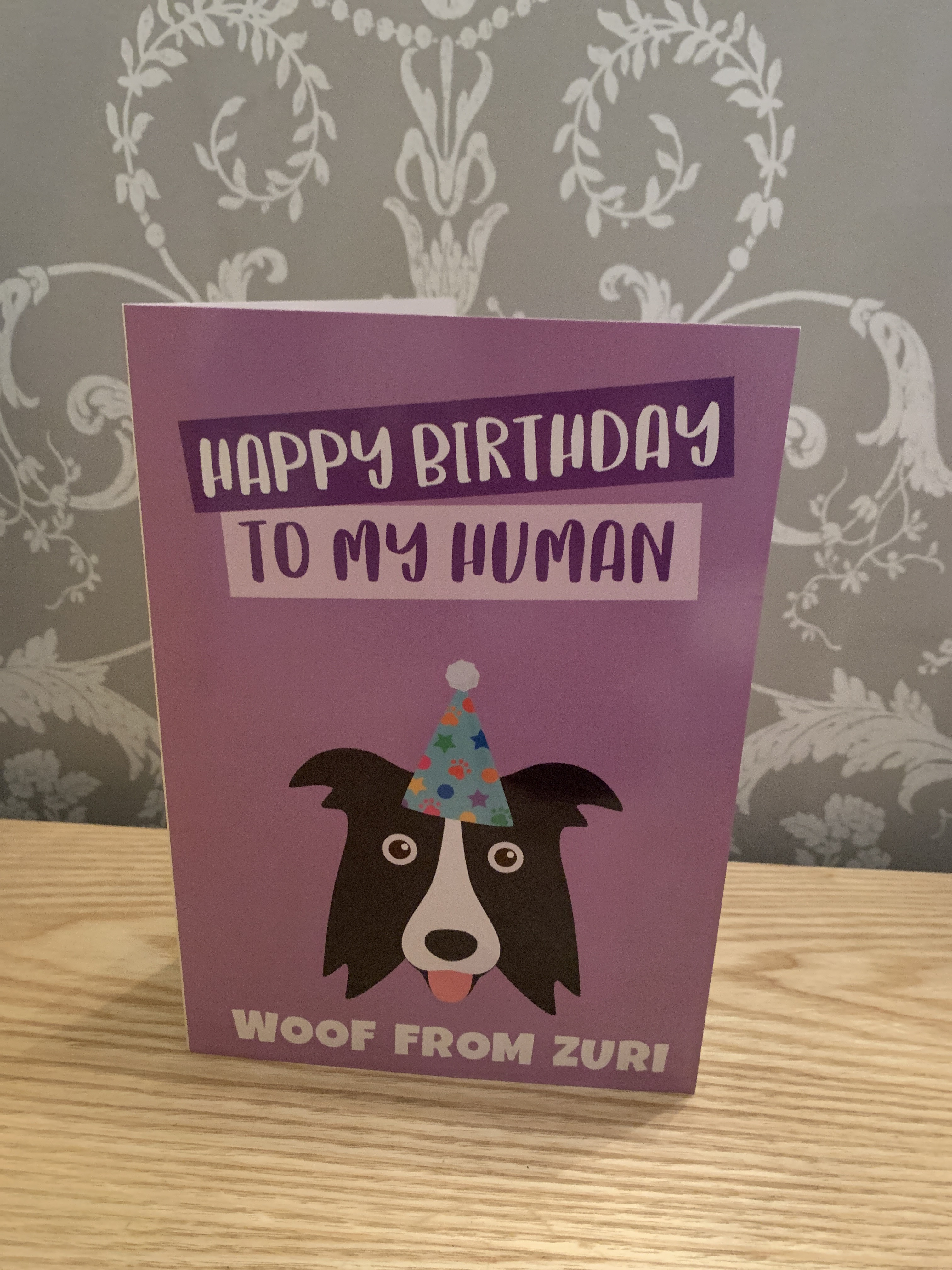 Customer photo of 'Happy Birthday to My Human' - Personalised Hungarian Vizsla Card