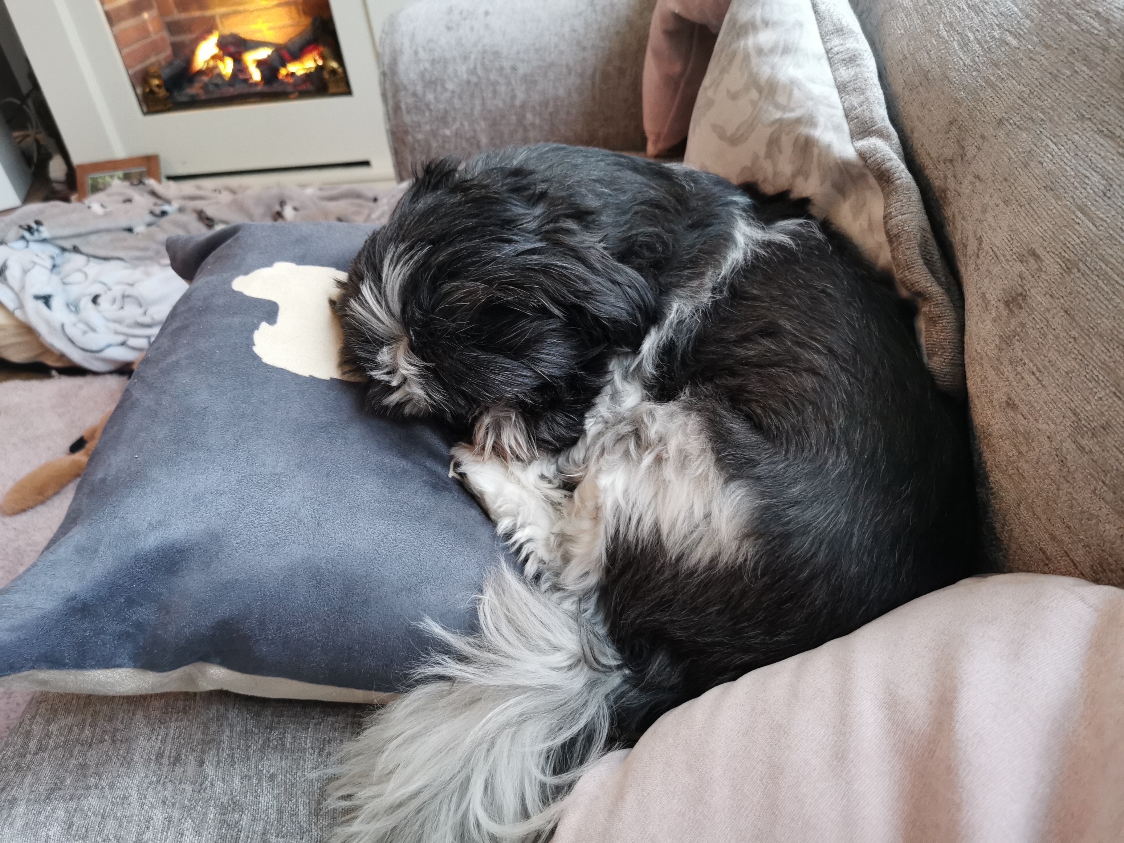 Customer photo of Reserved for Dog: Personalized Dog Soft Touch Pillow