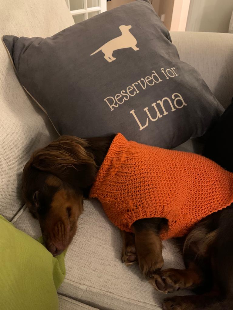 Customer photo of Reserved for Dog: Personalized Dog Soft Touch Pillow
