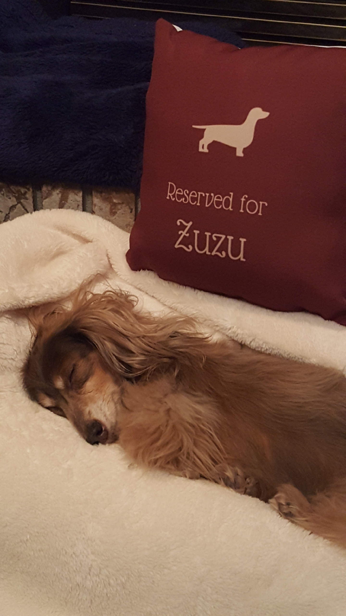 Customer photo of Reserved for Dog: Personalized Dog Soft Touch Pillow