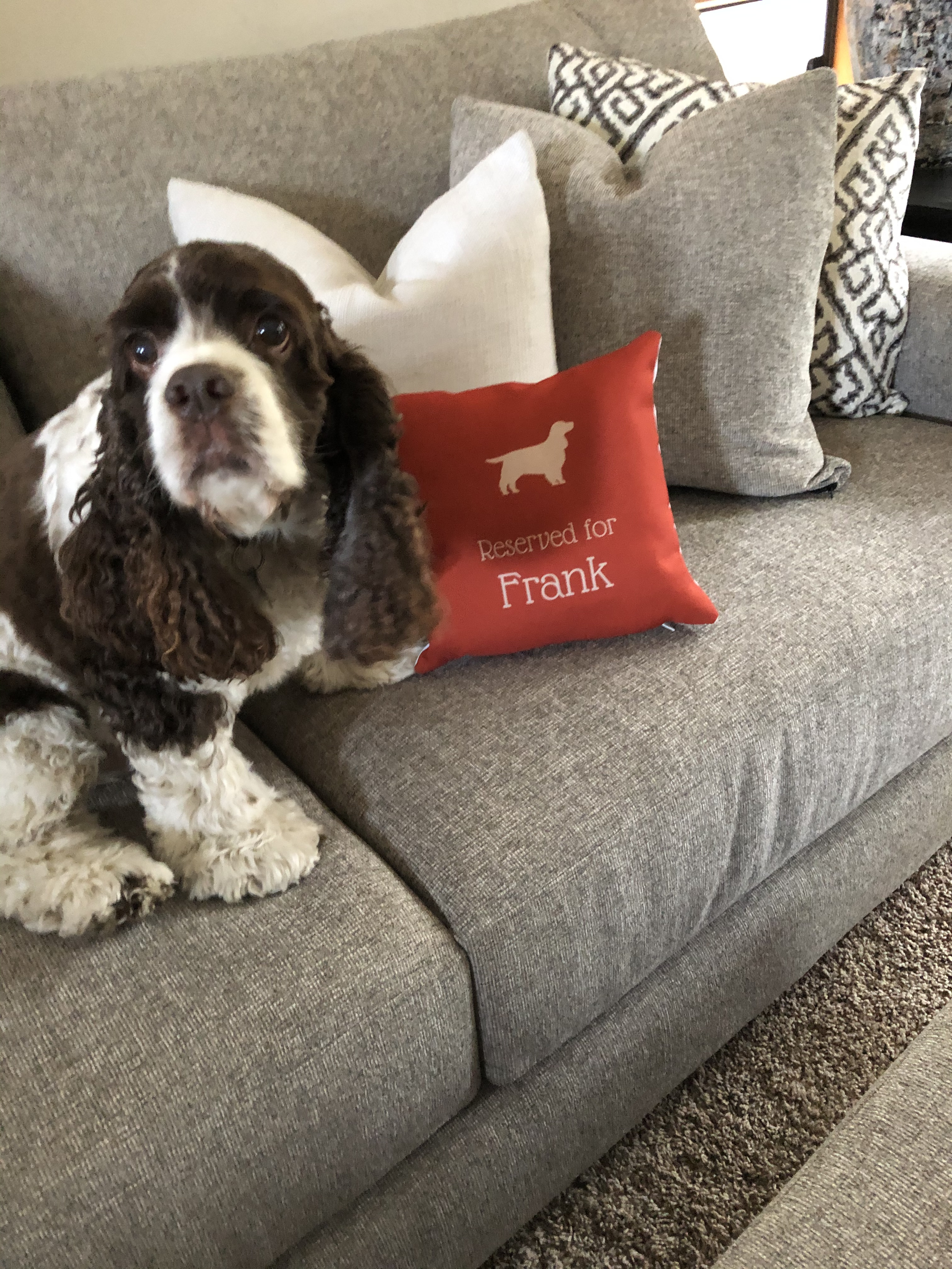 Customer photo of Reserved for Dog: Personalized Dog Soft Touch Pillow