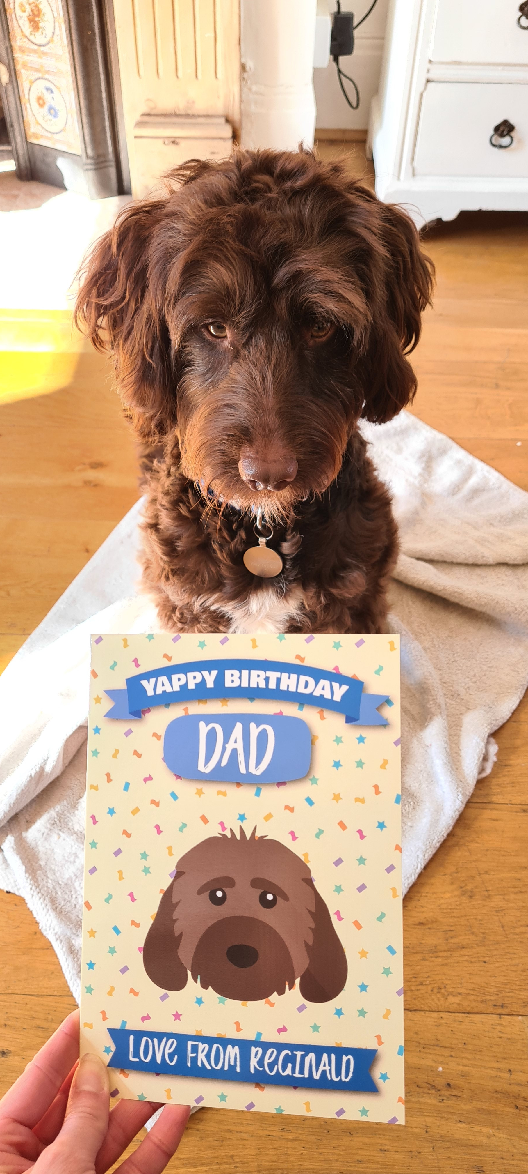Customer photo of 'Yappy Birthday Dad' - Personalised Dog Birthday Card