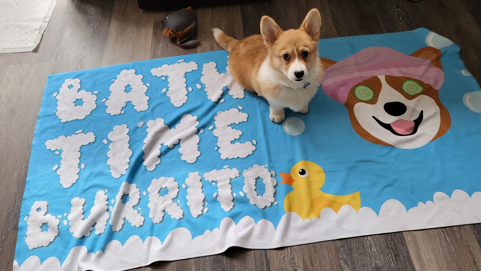 Customer photo of Bubble Bath Time: Personalised Dog Towel
