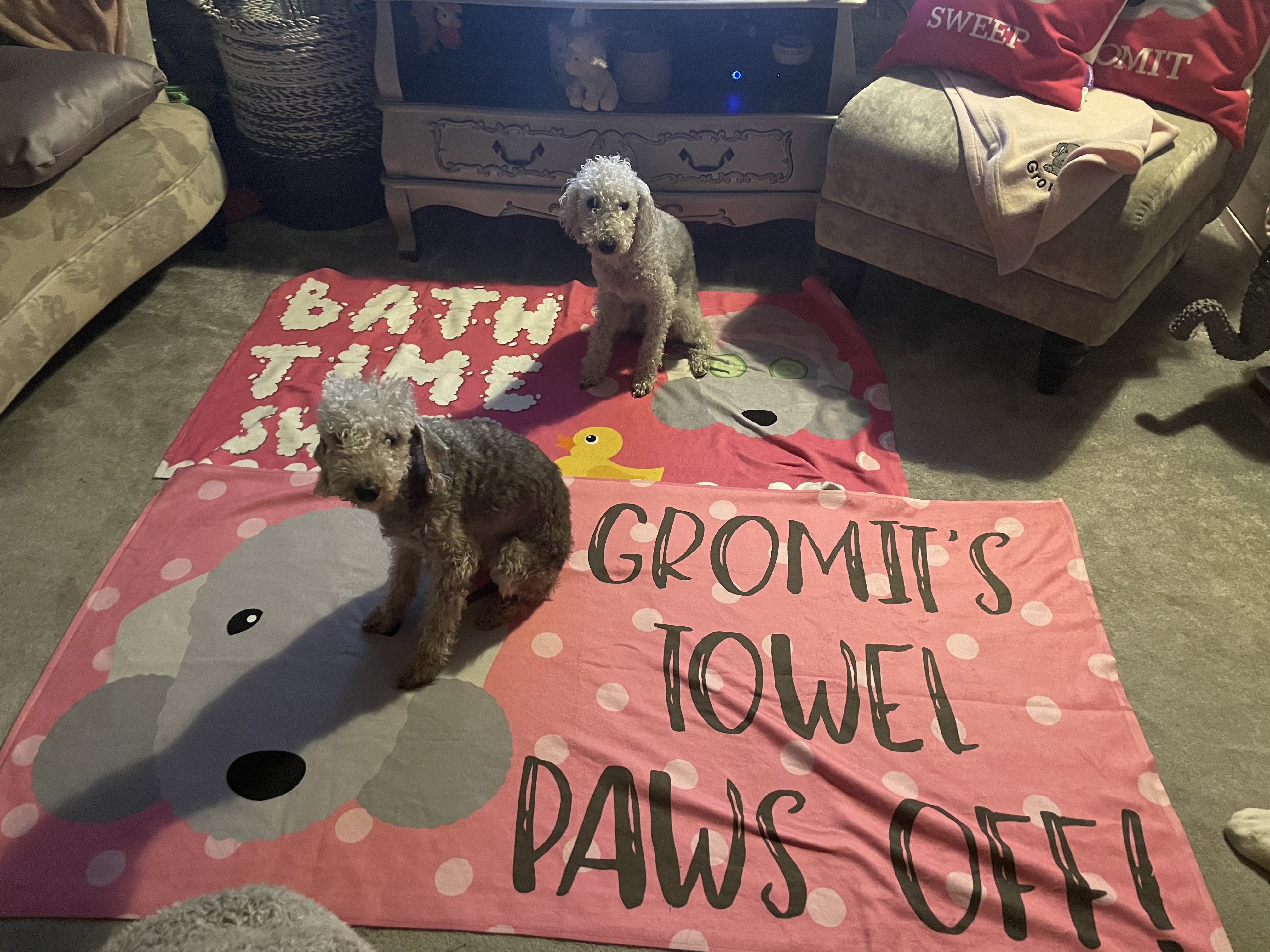 Customer photo of Bubble Bath Time: Personalised Dog Towel