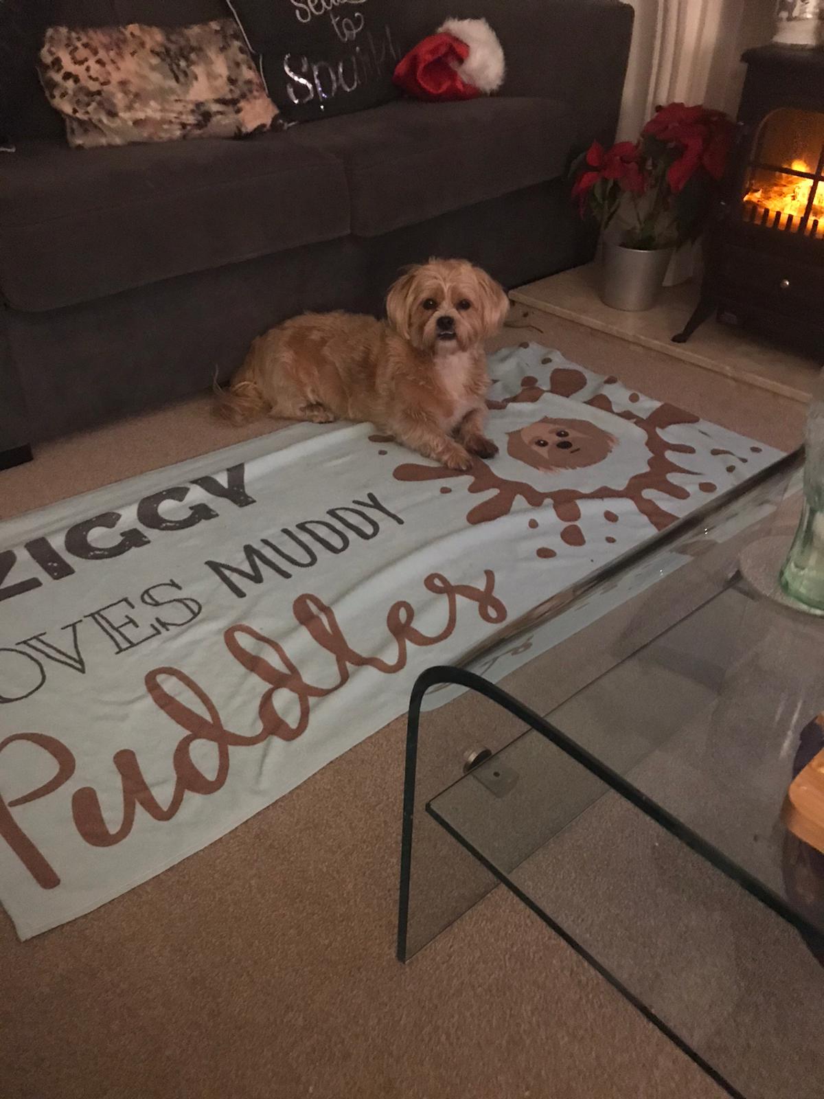 Customer photo of Muddy Puddles: Personalized St. Bernard Towel