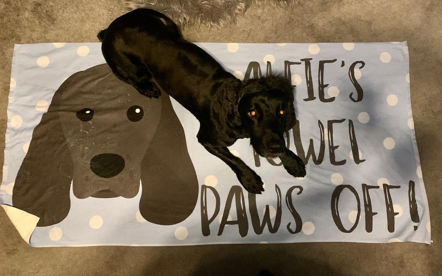 Customer photo of Paws Off: Personalised Dog Towel