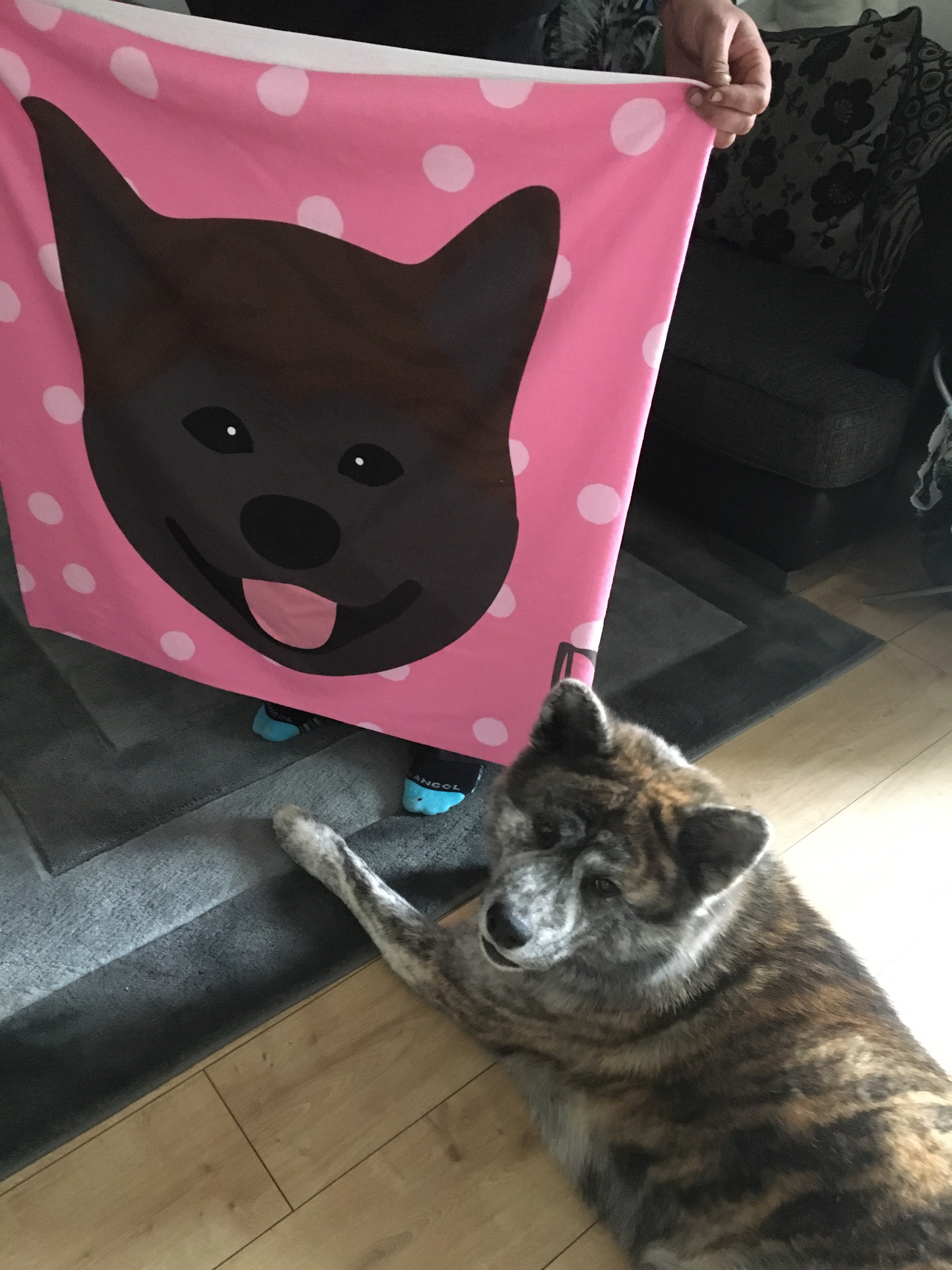 Customer photo of Paws Off: Personalised Dog Towel