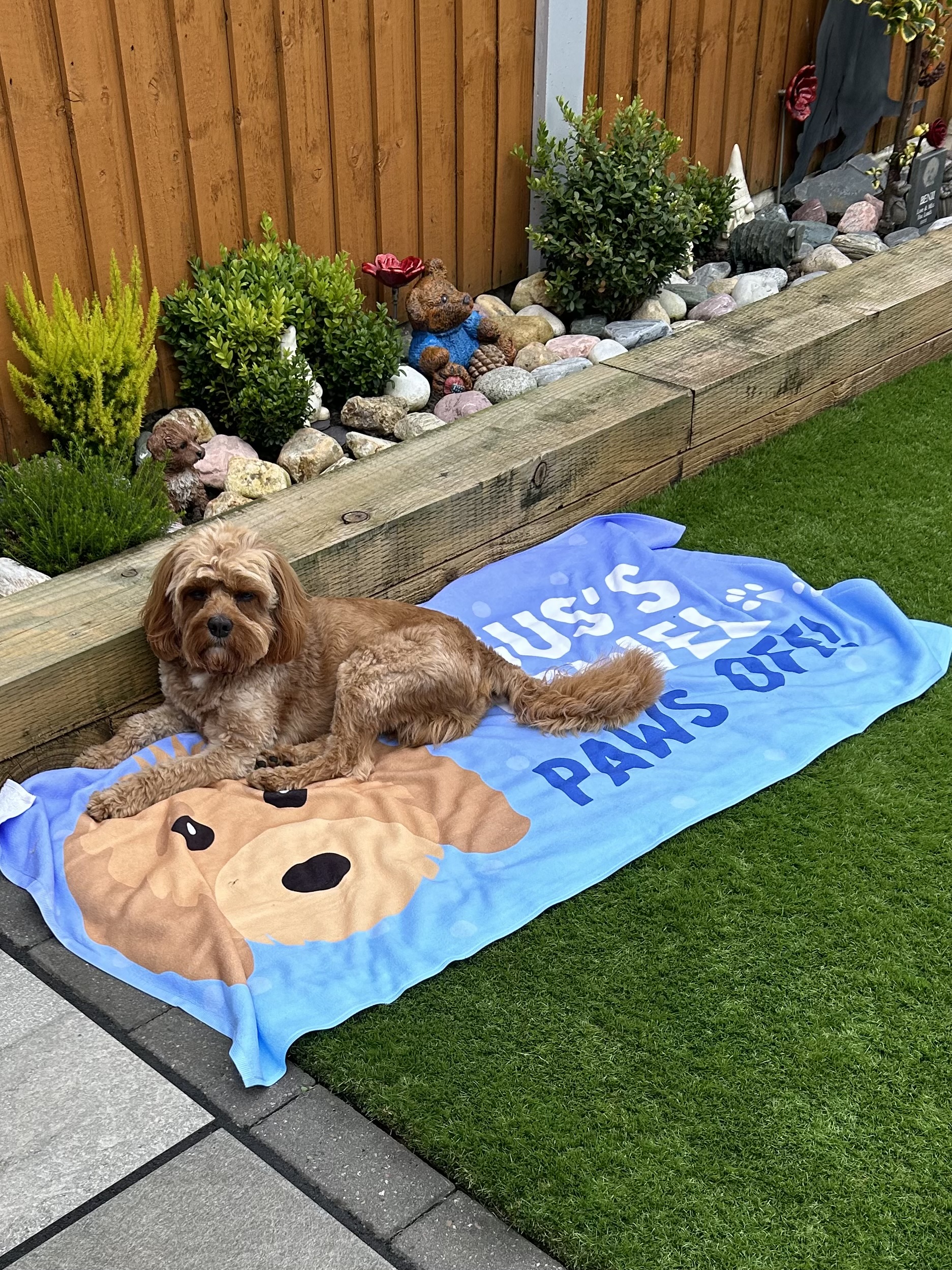 Customer photo of Paws Off: Personalised Dog Towel
