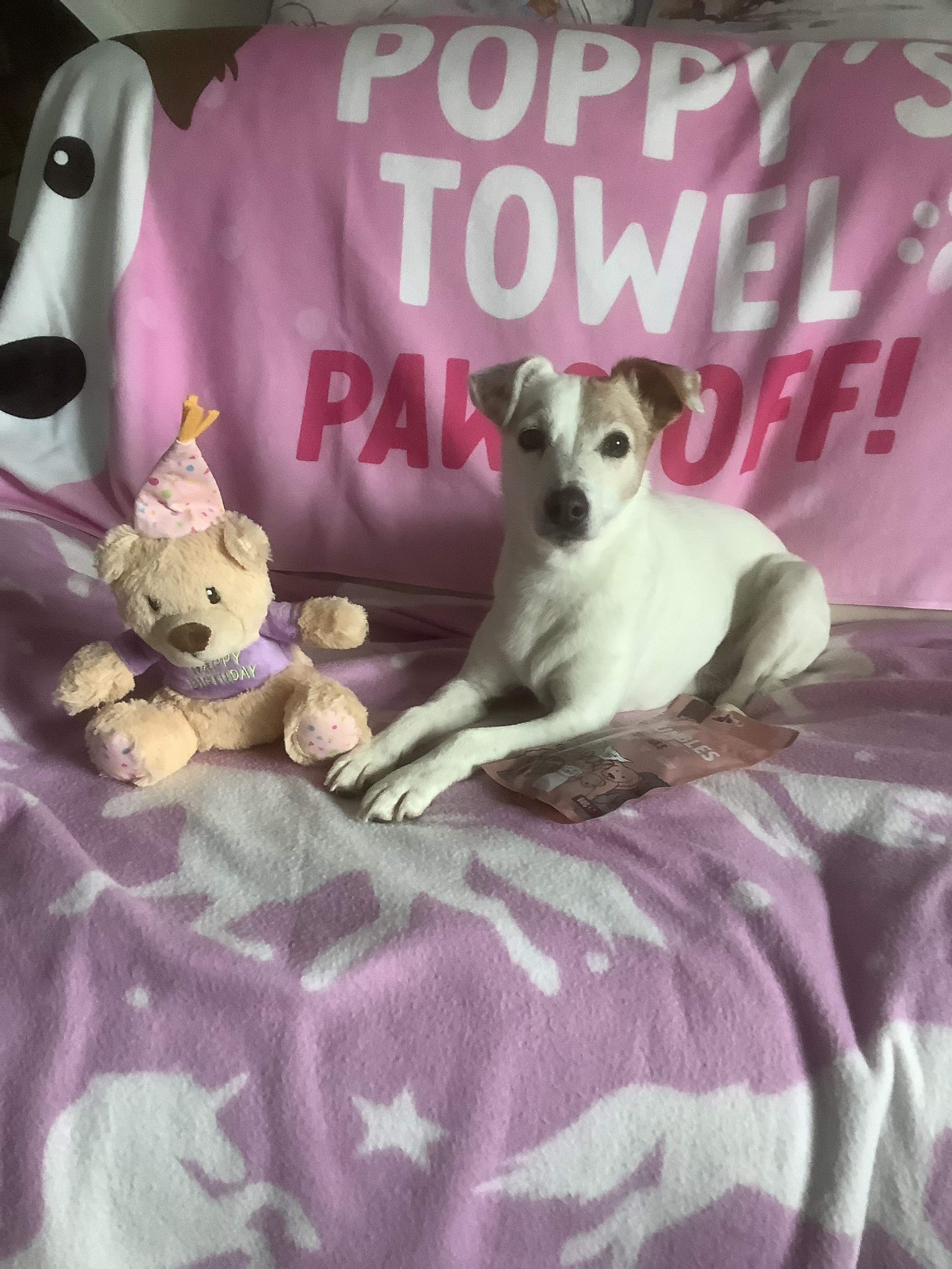 Customer photo of Paws Off: Personalised Dog Towel