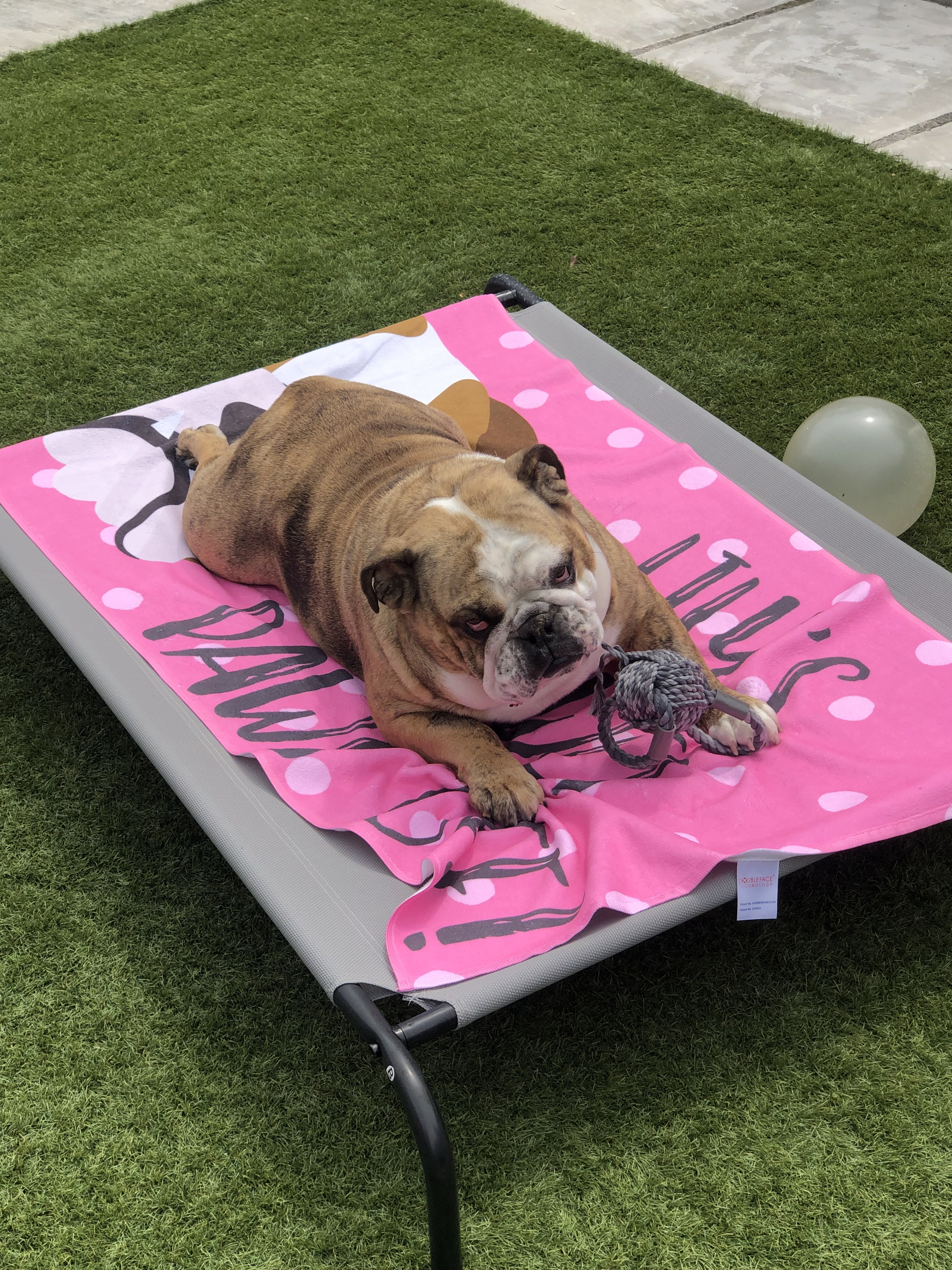 Customer photo of Paws Off: Personalised Dog Towel