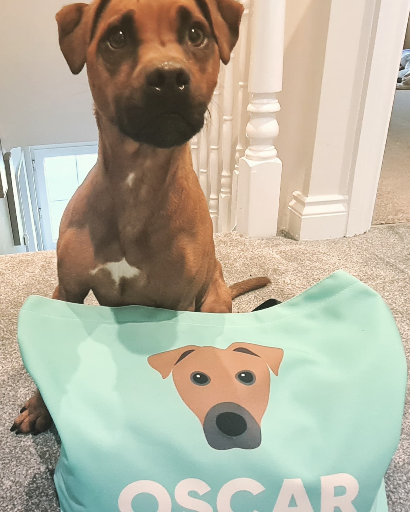 Customer photo of 'Peek-a-poo Icon & Name' - Personalized Canvas Bag