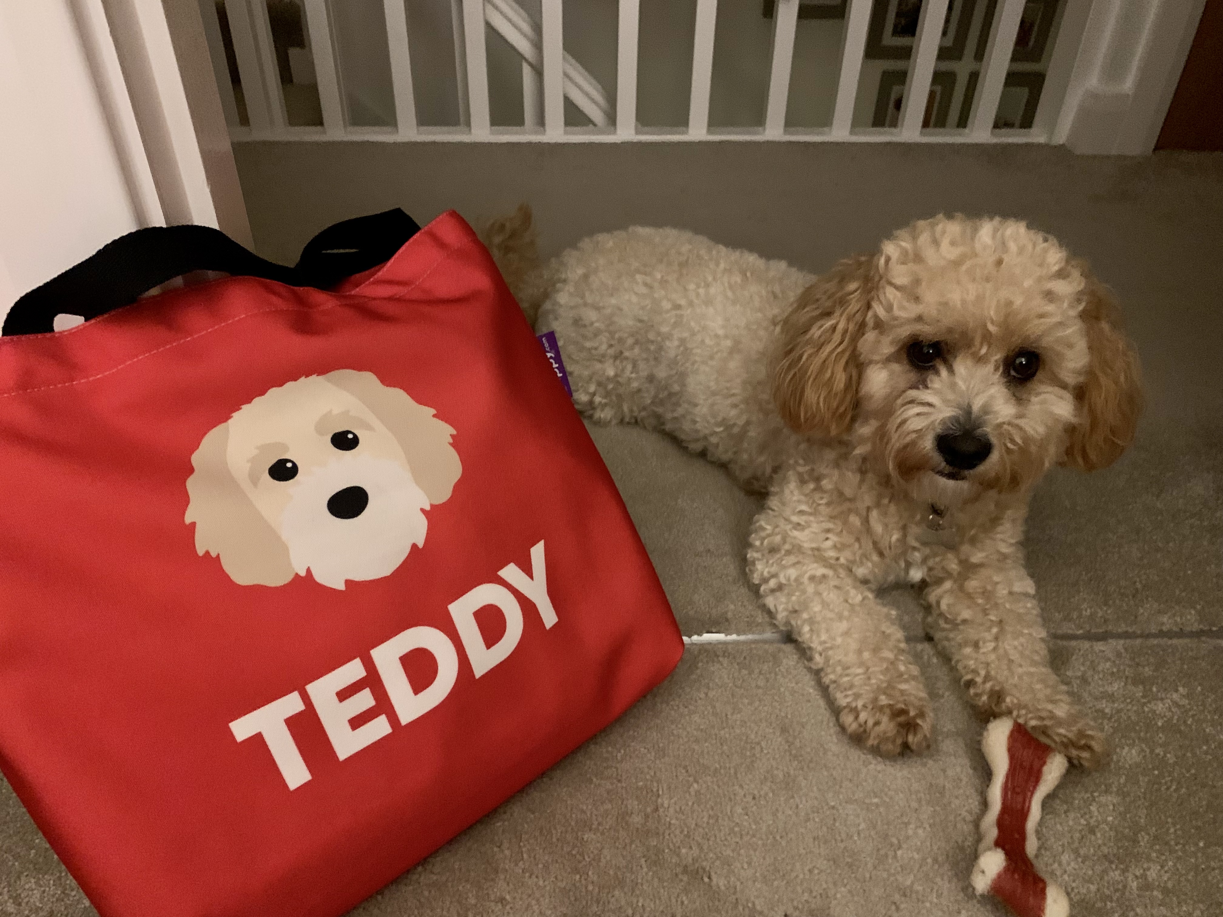 Customer photo of 'Peek-a-poo Icon & Name' - Personalized Canvas Bag