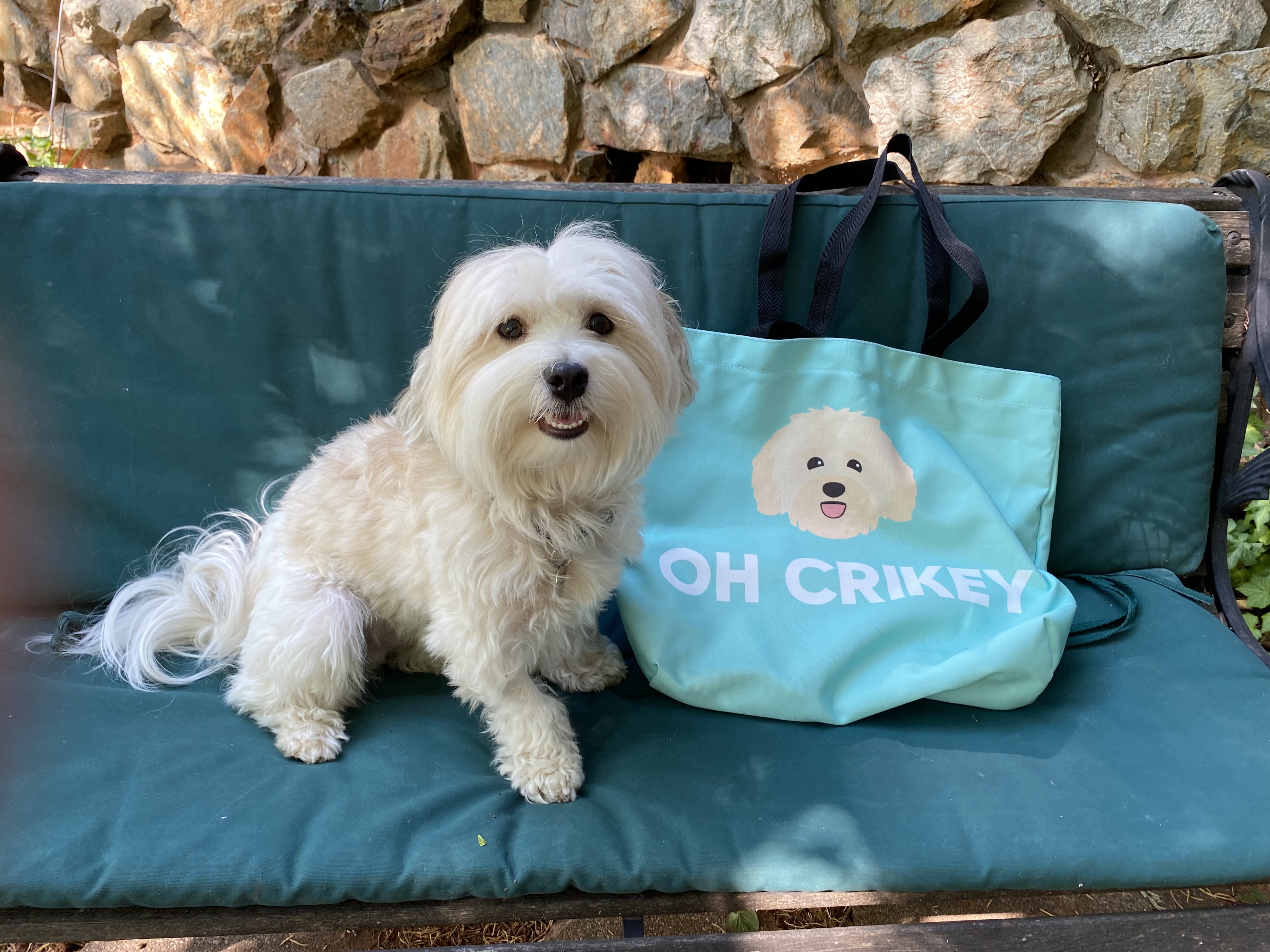 Customer photo of 'Peek-a-poo Icon & Name' - Personalized Canvas Bag