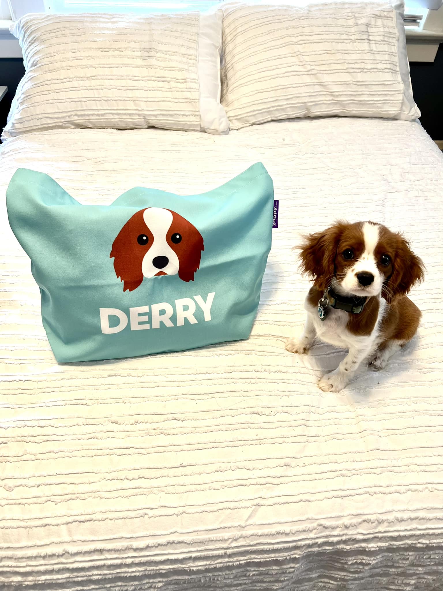 Customer photo of 'Peek-a-poo Icon & Name' - Personalized Canvas Bag