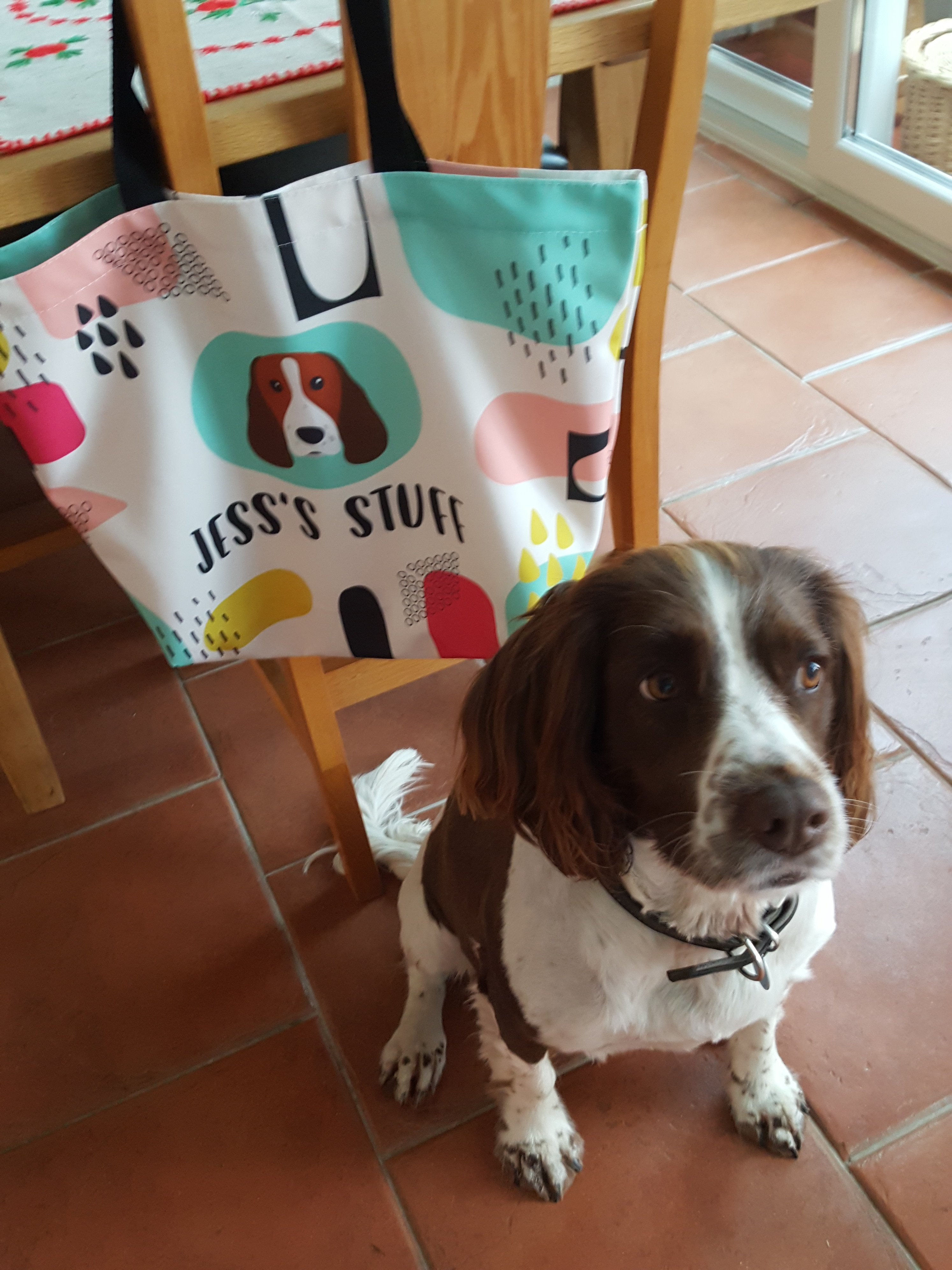Customer photo of Personalized ‘Abstract’ Bag for Your Dog&rsquo;s Stuff