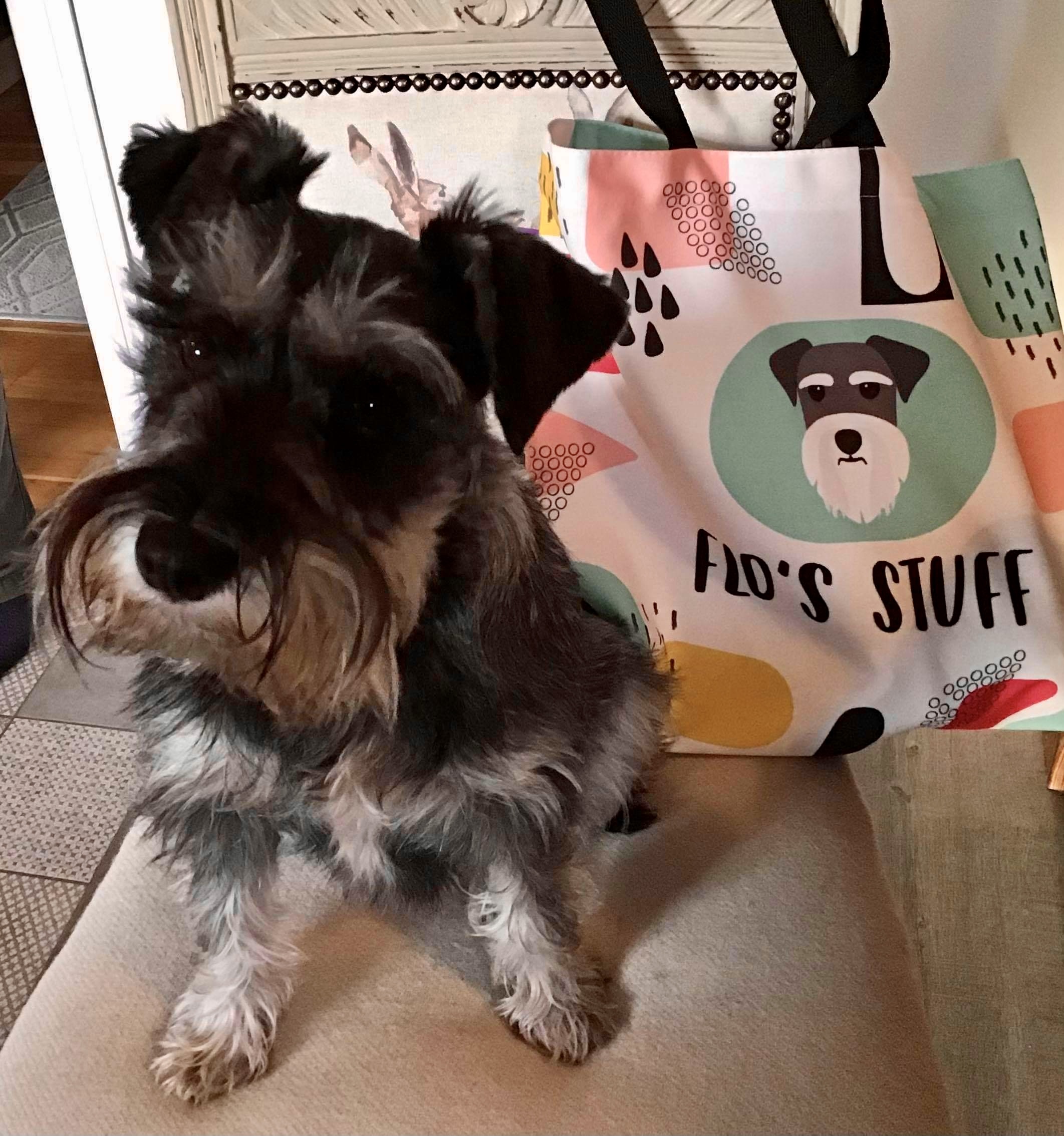 Customer photo of Personalized ‘Abstract’ Bag for Your Dog&rsquo;s Stuff