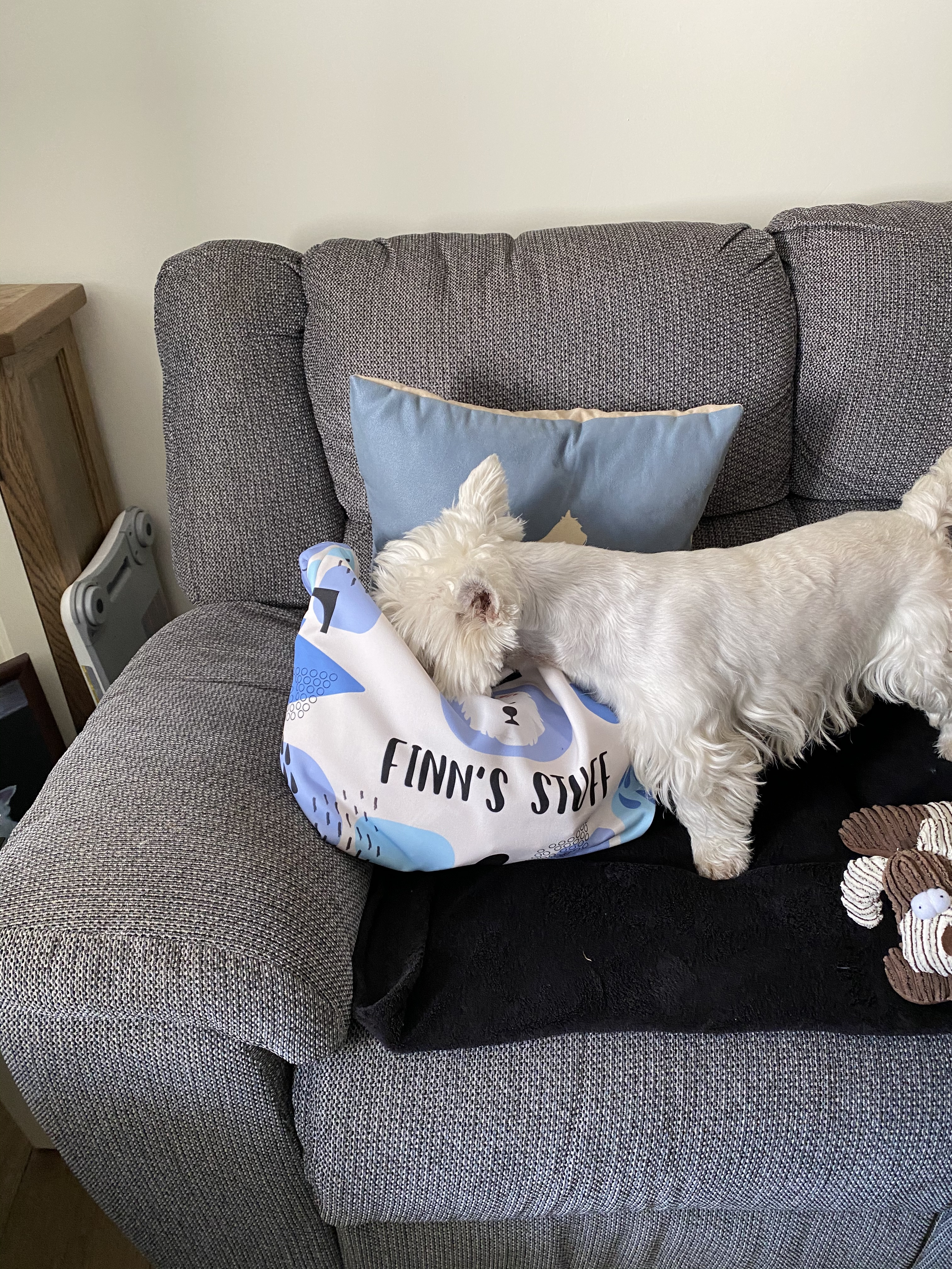 Customer photo of Personalized ‘Abstract’ Bag for Your Dog&rsquo;s Stuff