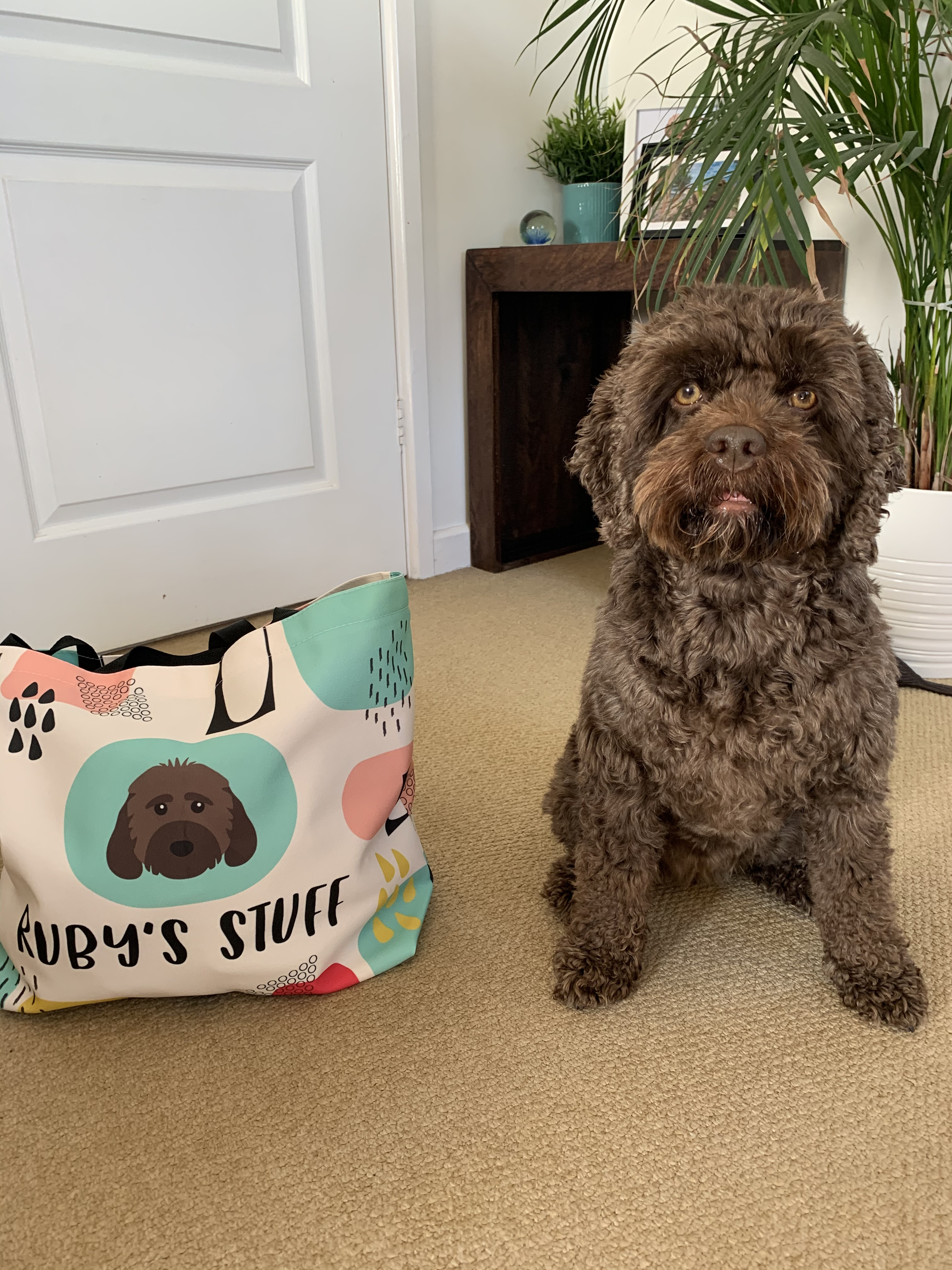 Customer photo of Personalized ‘Abstract’ Bag for Your Dog&rsquo;s Stuff