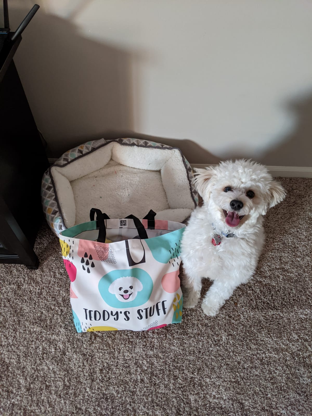 Customer photo of Personalized ‘Abstract’ Bag for Your Dog&rsquo;s Stuff